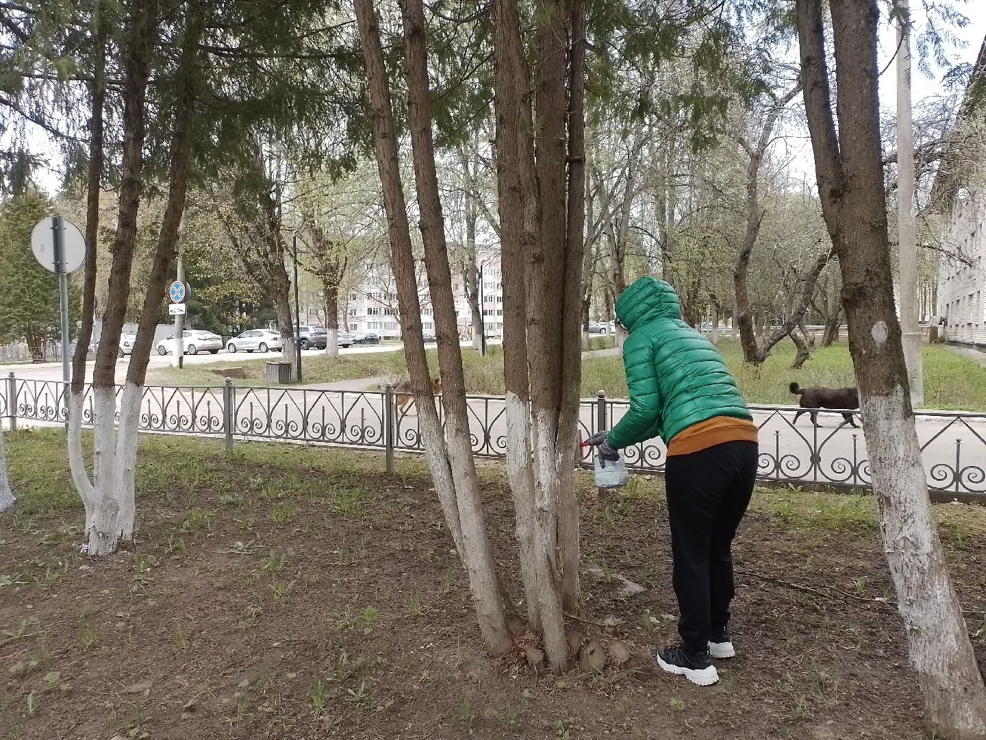 городской округ восход, благоустройство, субботник, всероссийский субботник,