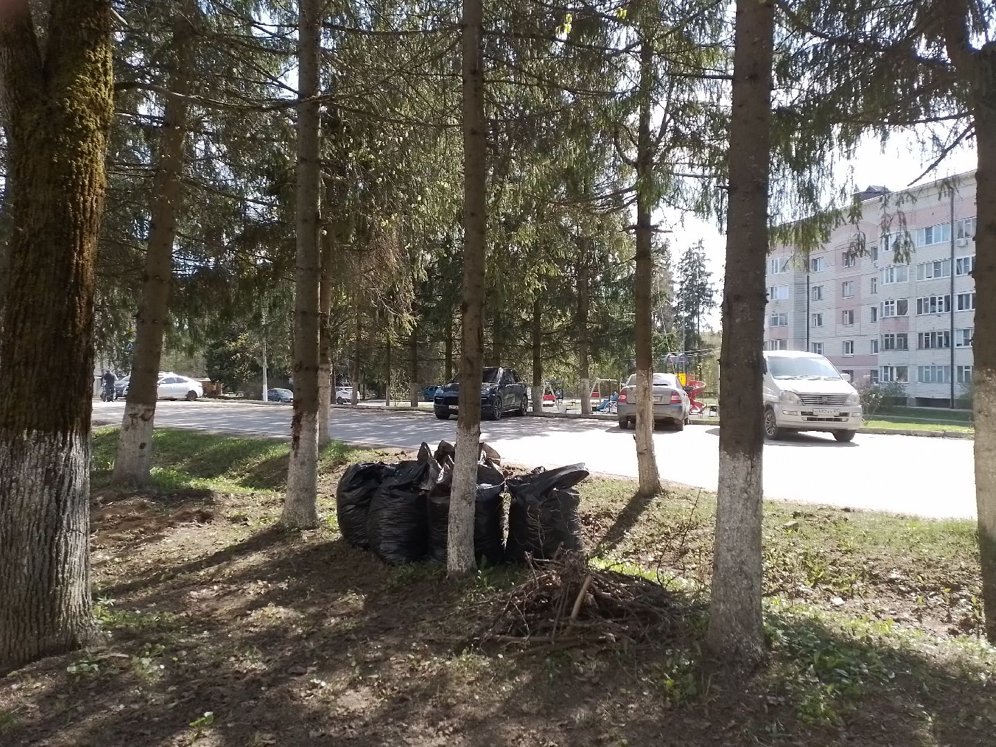 городской округ восход, благоустройство, субботник, всероссийский субботник,