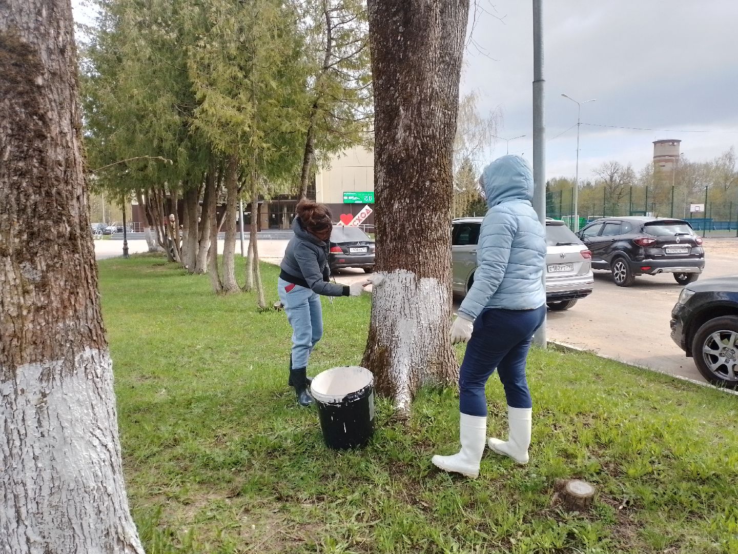 городской округ восход, благоустройство, субботник, всероссийский субботник,