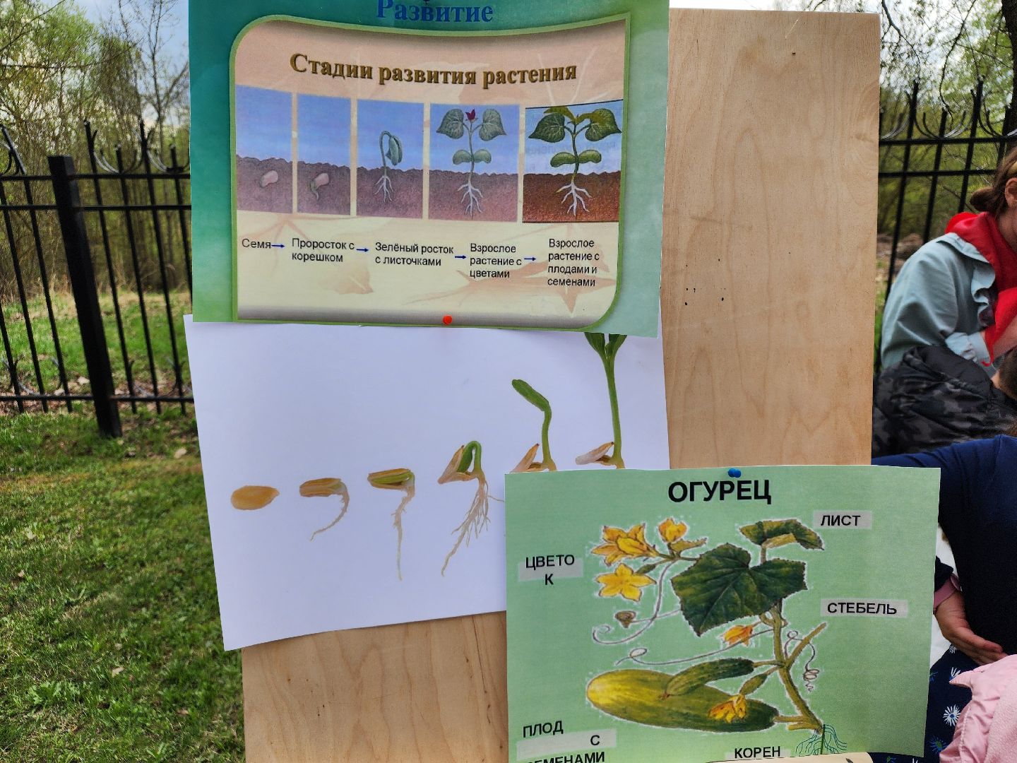 сергиев посад, дк октябрь, экология, общественный огород,