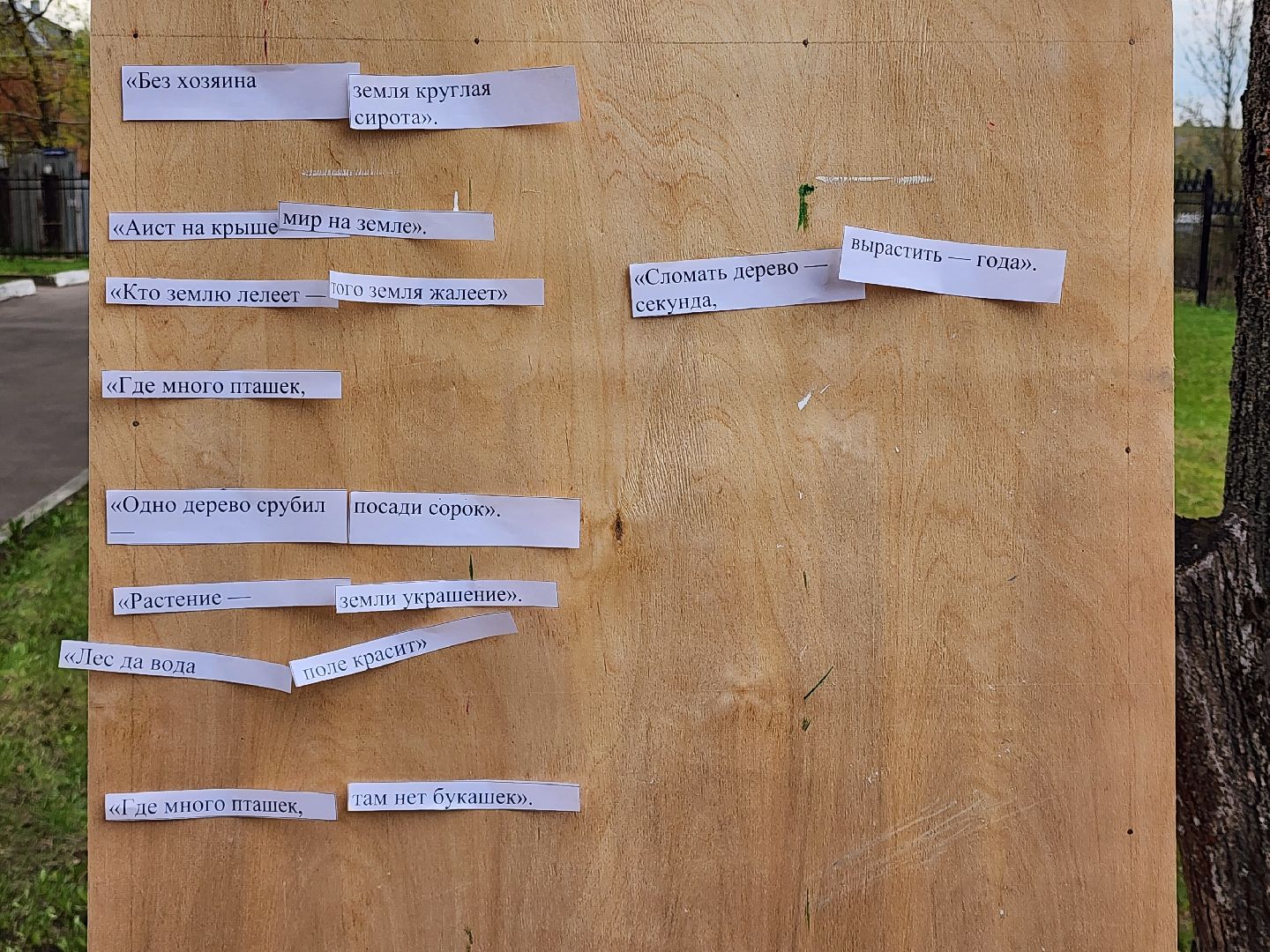 сергиев посад, дк октябрь, экология, общественный огород,