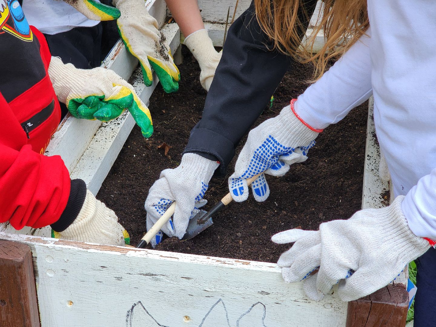 сергиев посад, дк октябрь, экология, общественный огород,