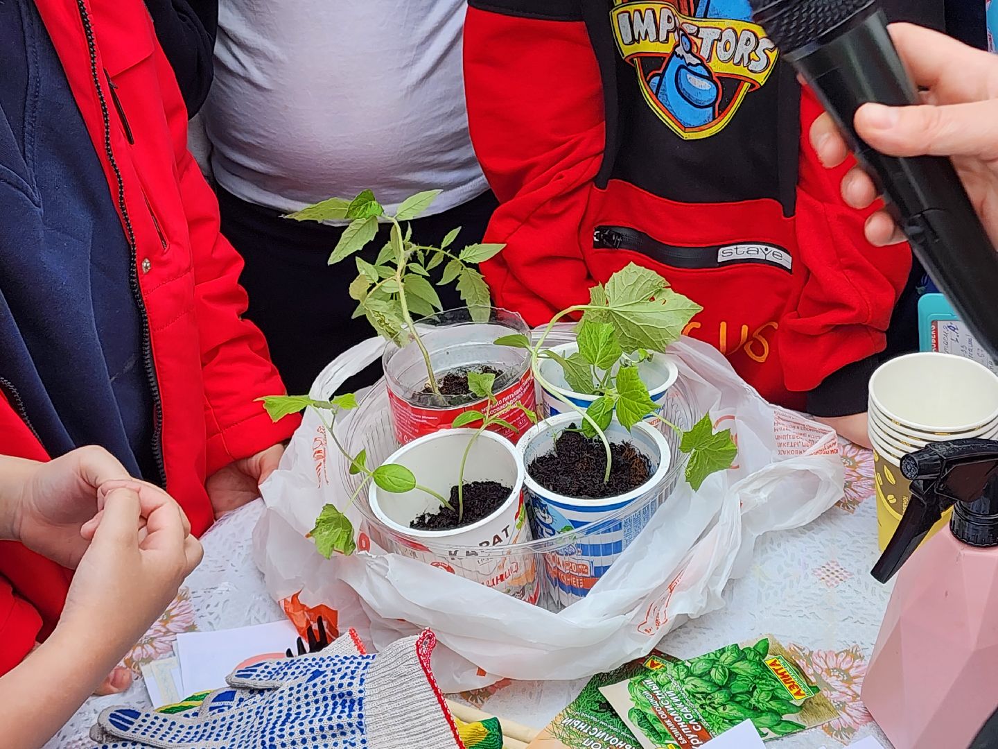 сергиев посад, дк октябрь, экология, общественный огород,