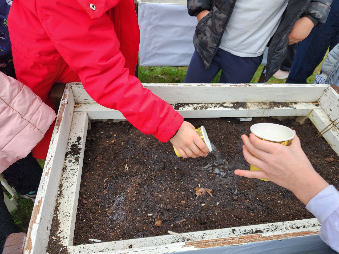 сергиев посад, дк октябрь, экология, общественный огород,