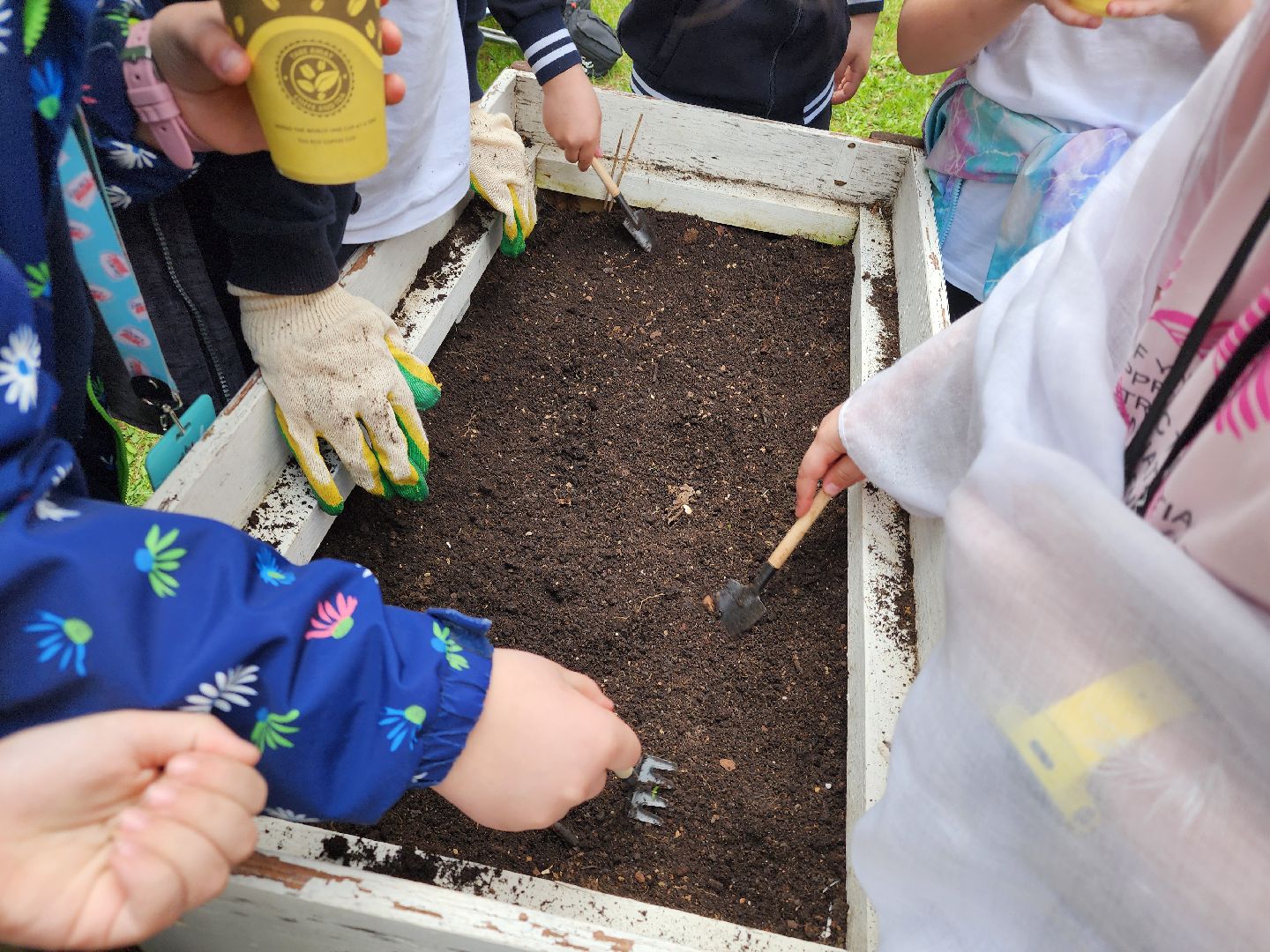сергиев посад, дк октябрь, экология, общественный огород,