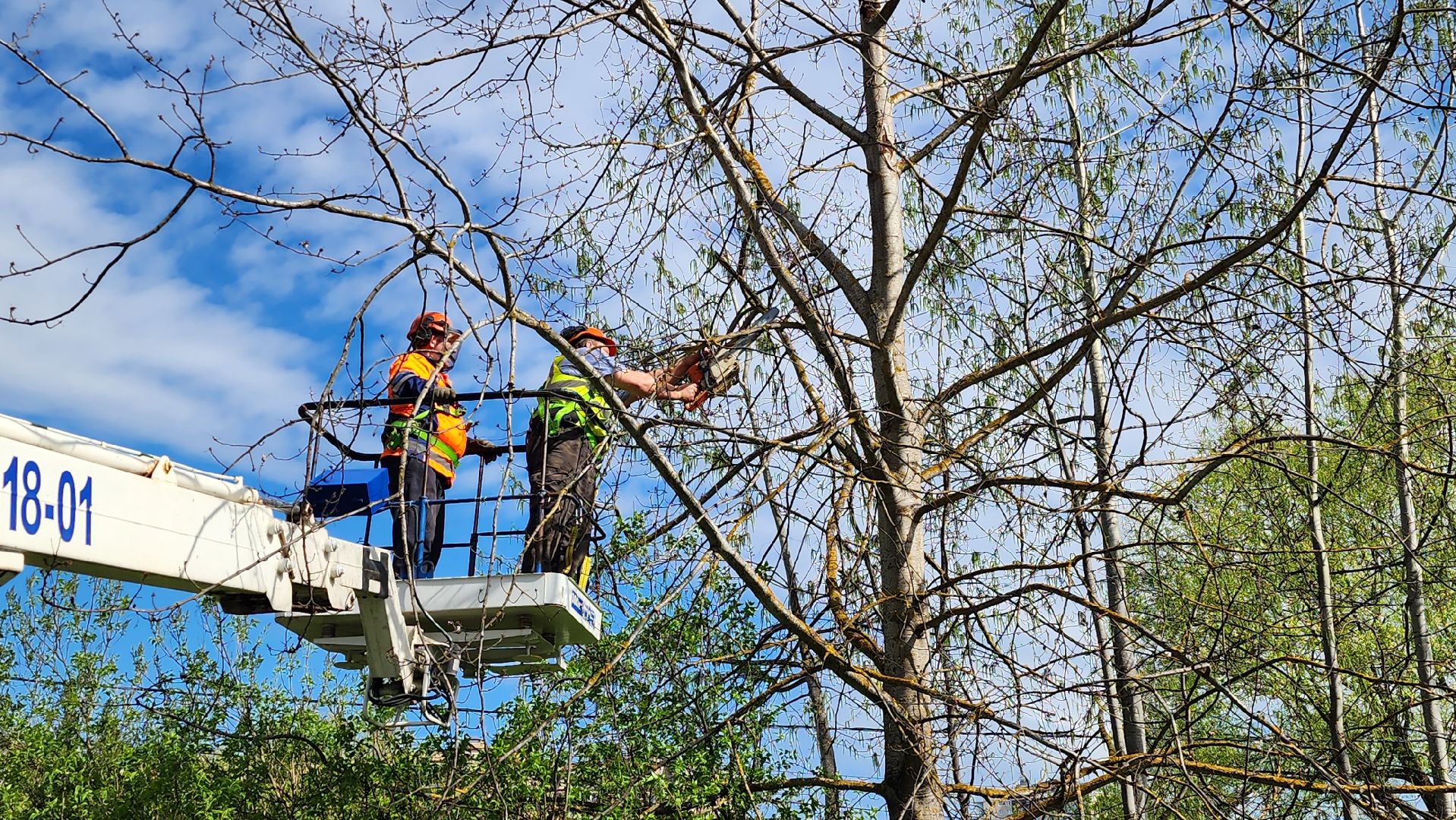 истра, благоустройство, дворы,