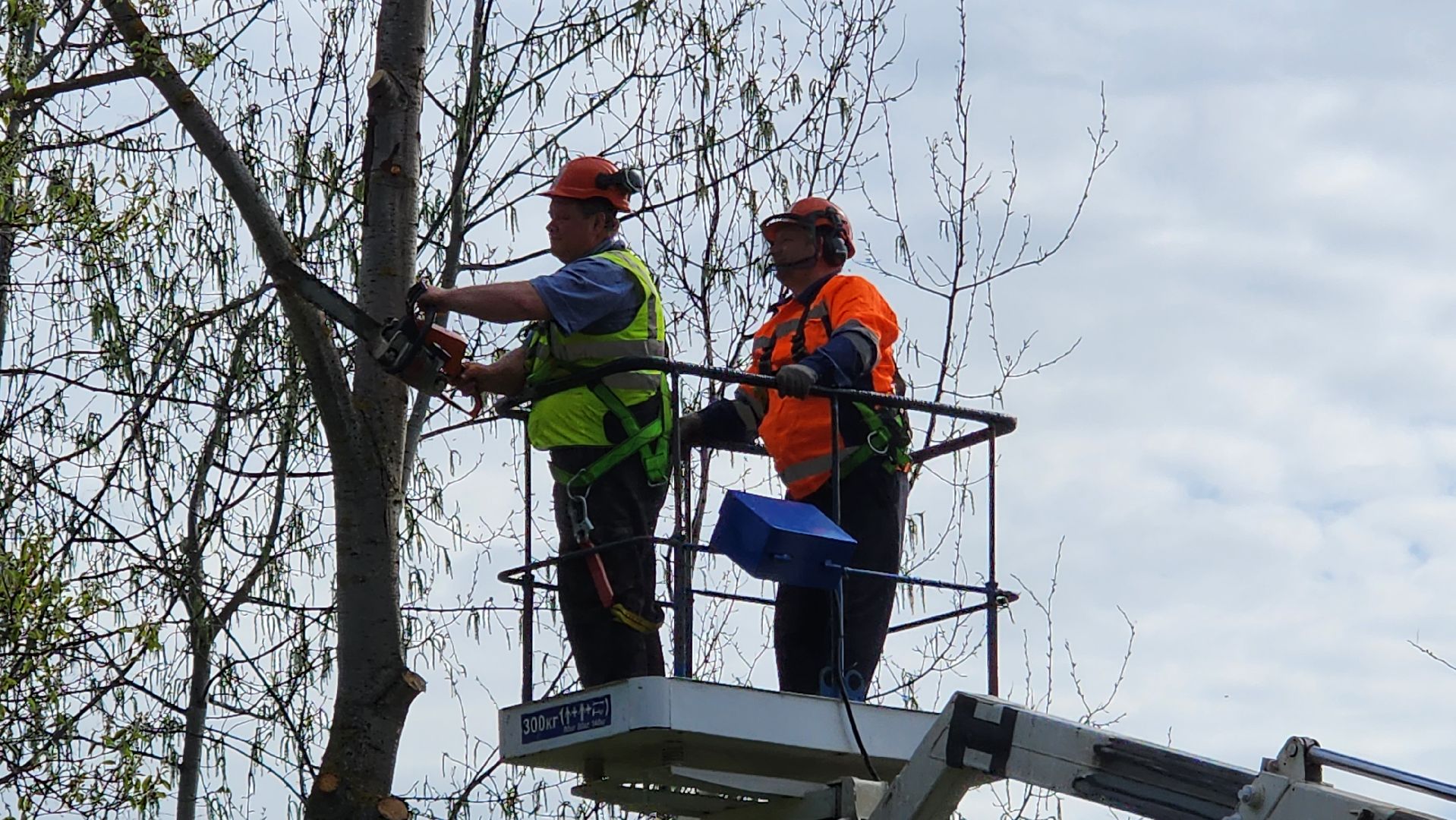 истра, благоустройство, дворы,