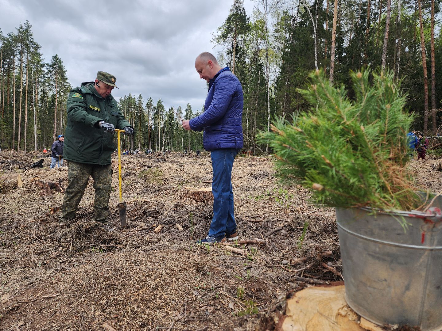 Егорьевск, Подмосковье, Московская область,