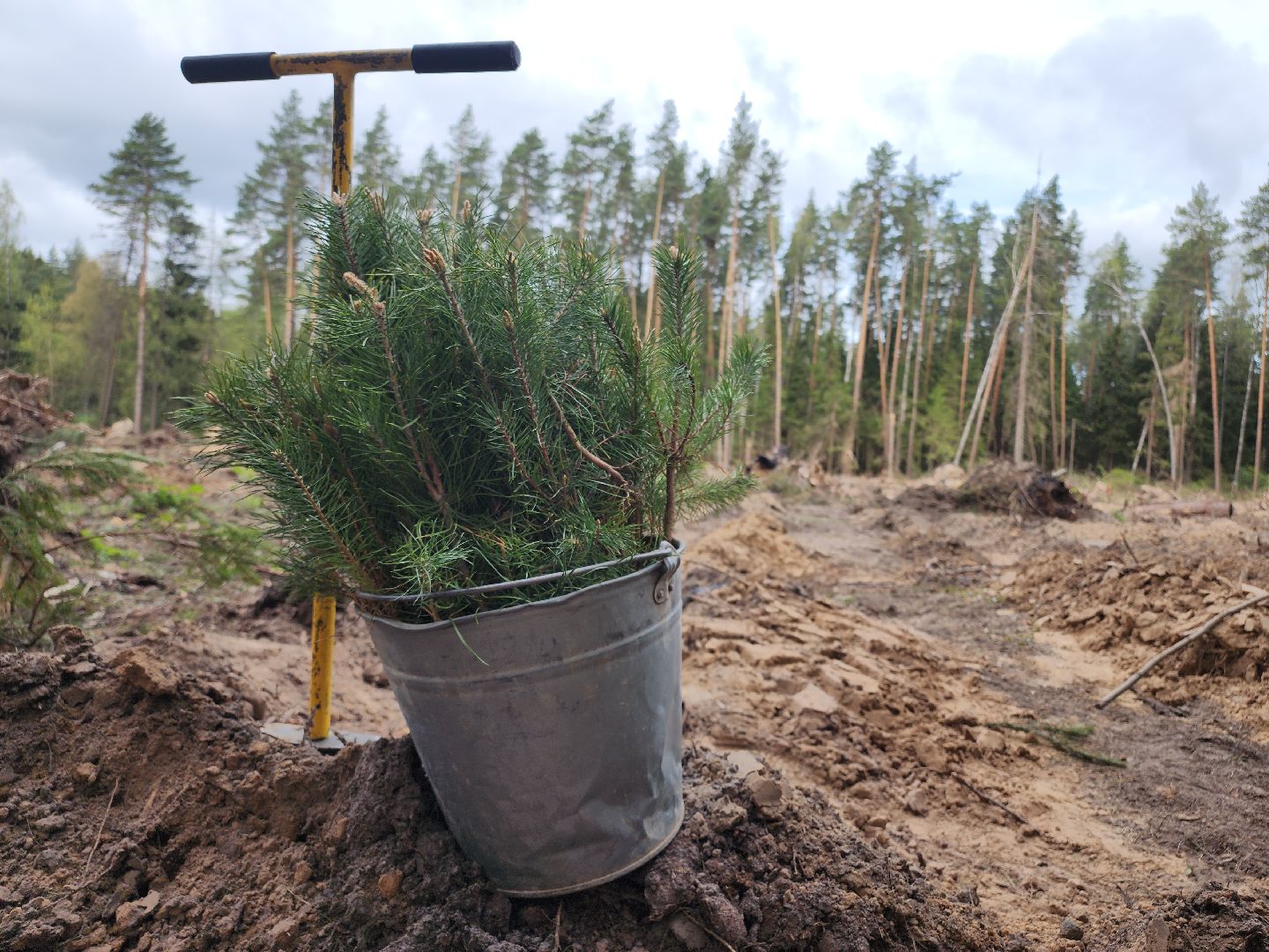 Егорьевск, Подмосковье, Московская область,
