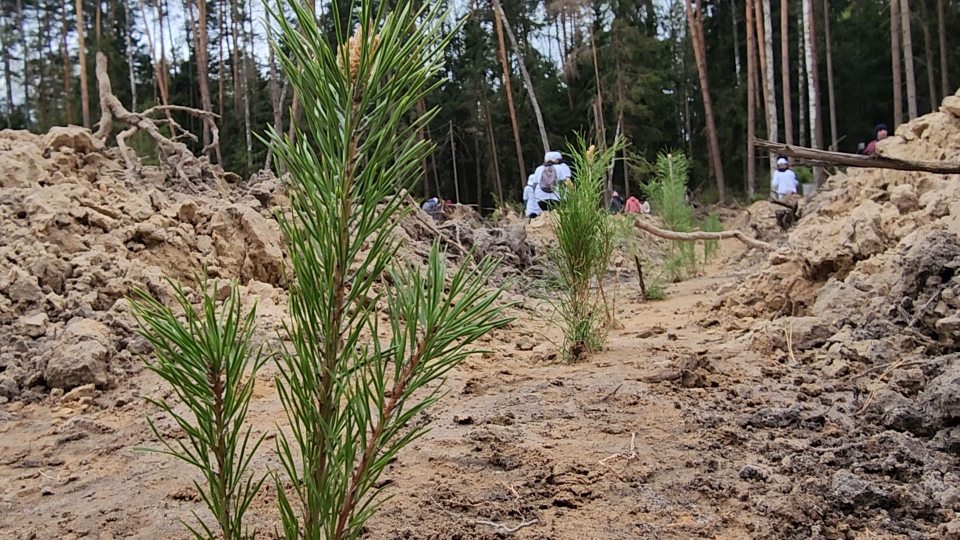 Егорьевск, Подмосковье, Московская область,