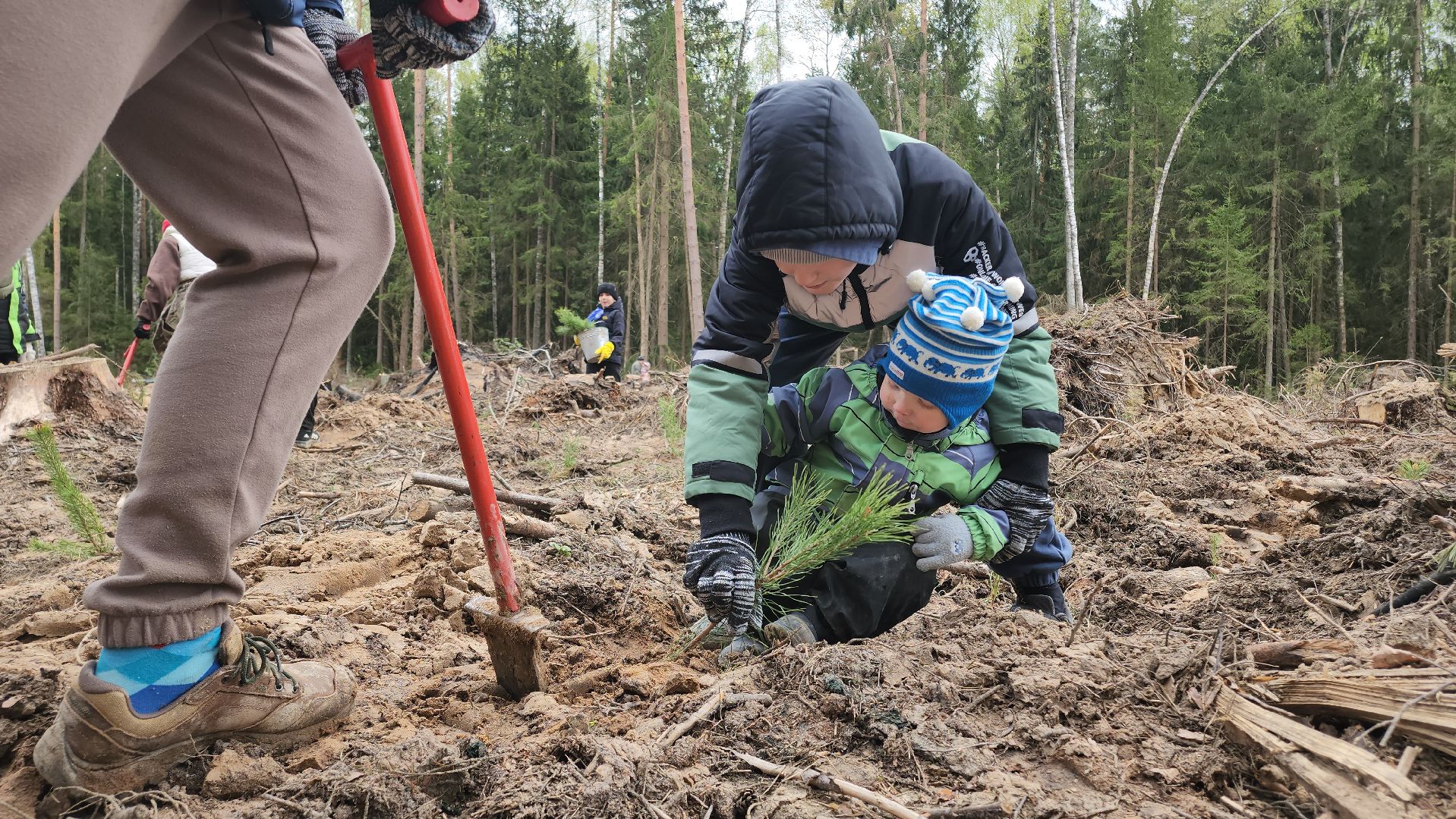 Егорьевск, Подмосковье, Московская область,