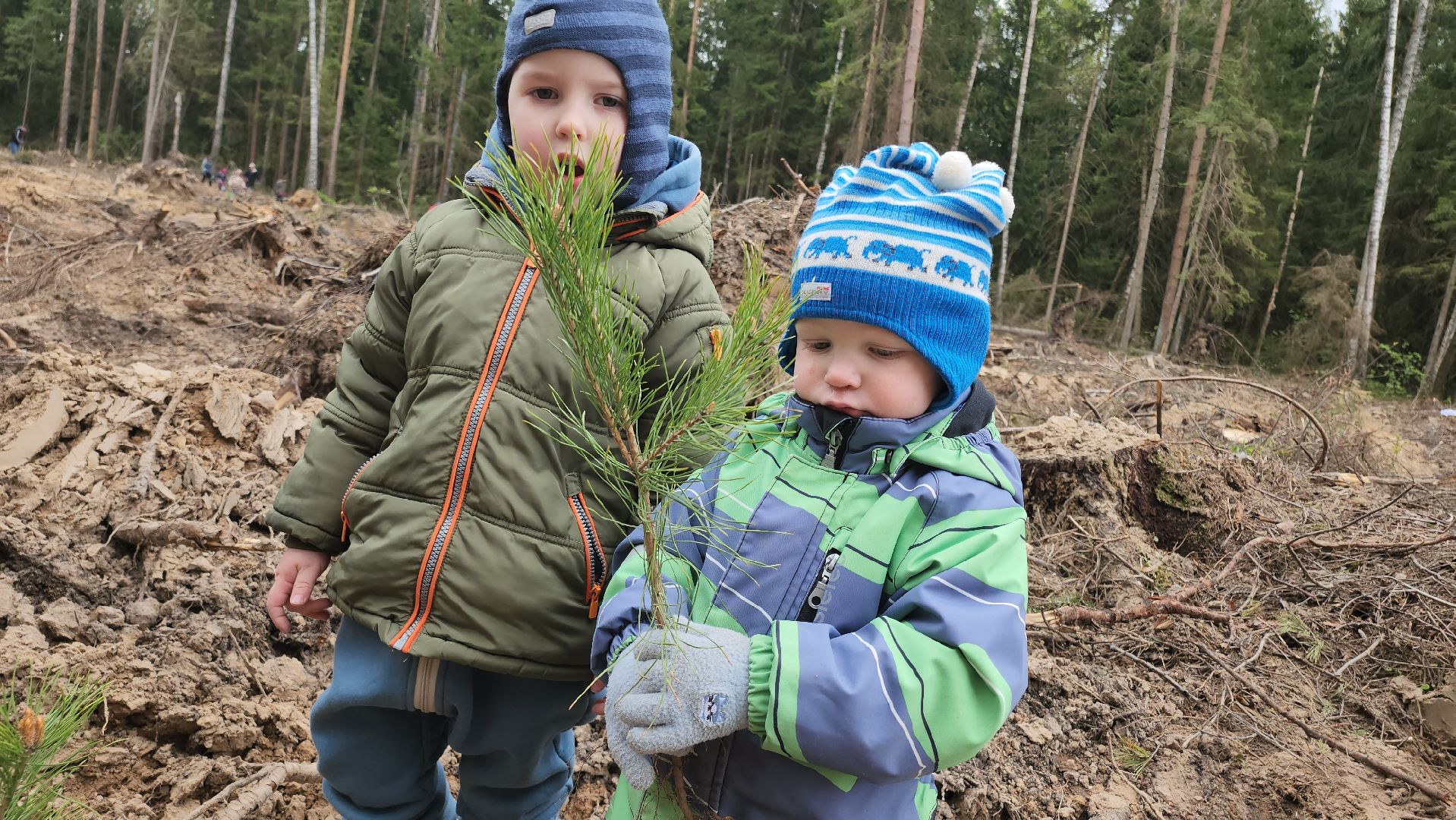 Егорьевск, Подмосковье, Московская область,