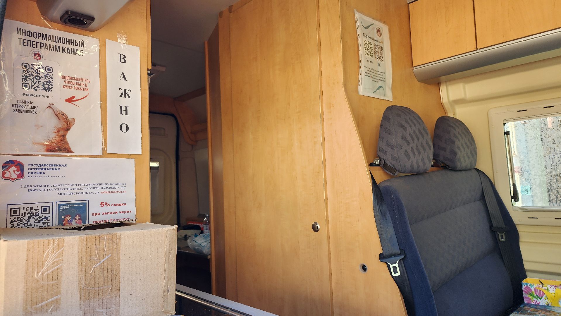 выездное чипирование, выездная вакцинация,  чипирование домашних животных, Ногинск, Богородский городской округ,