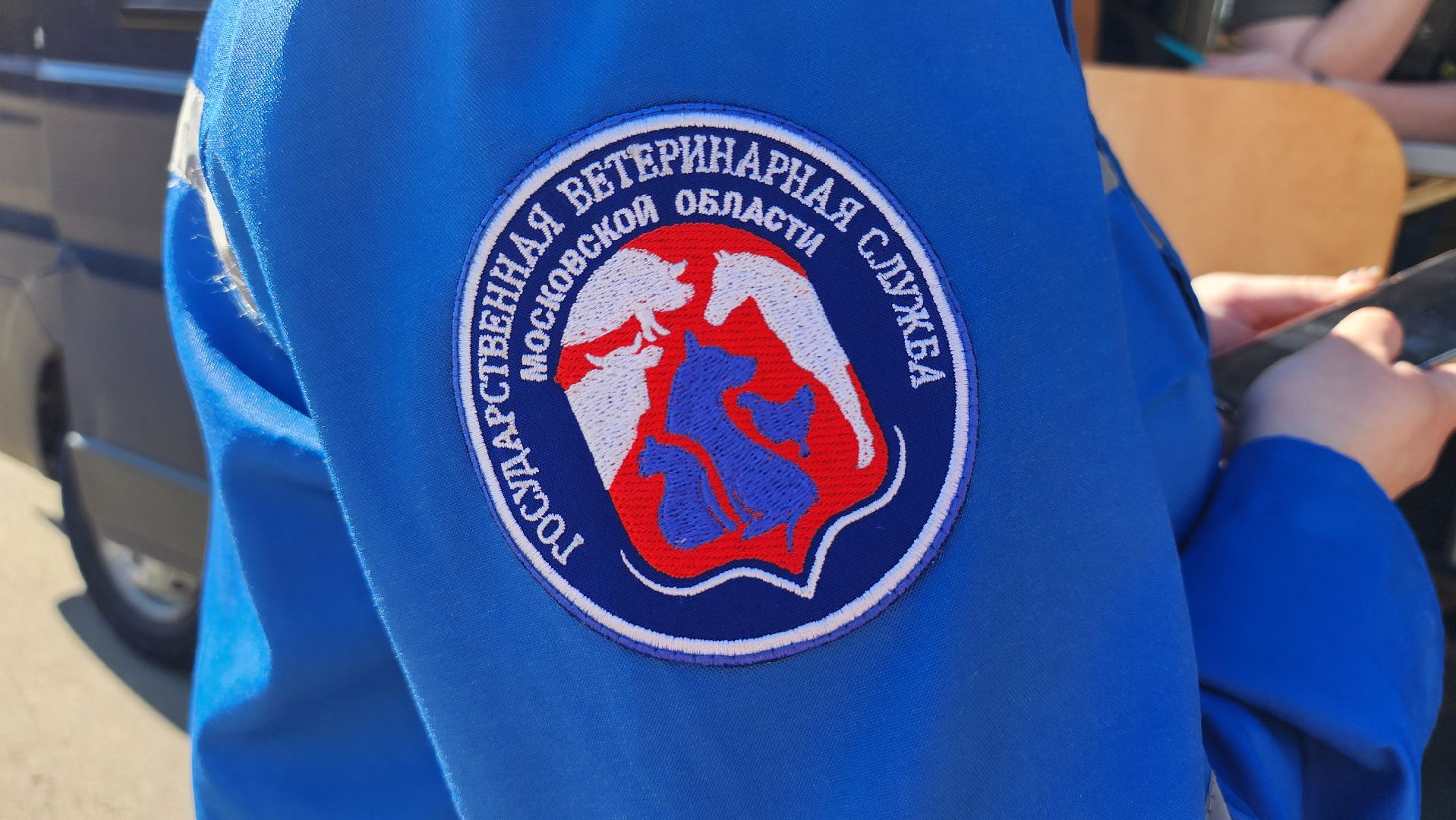 выездное чипирование, выездная вакцинация,  чипирование домашних животных, Ногинск, Богородский городской округ,