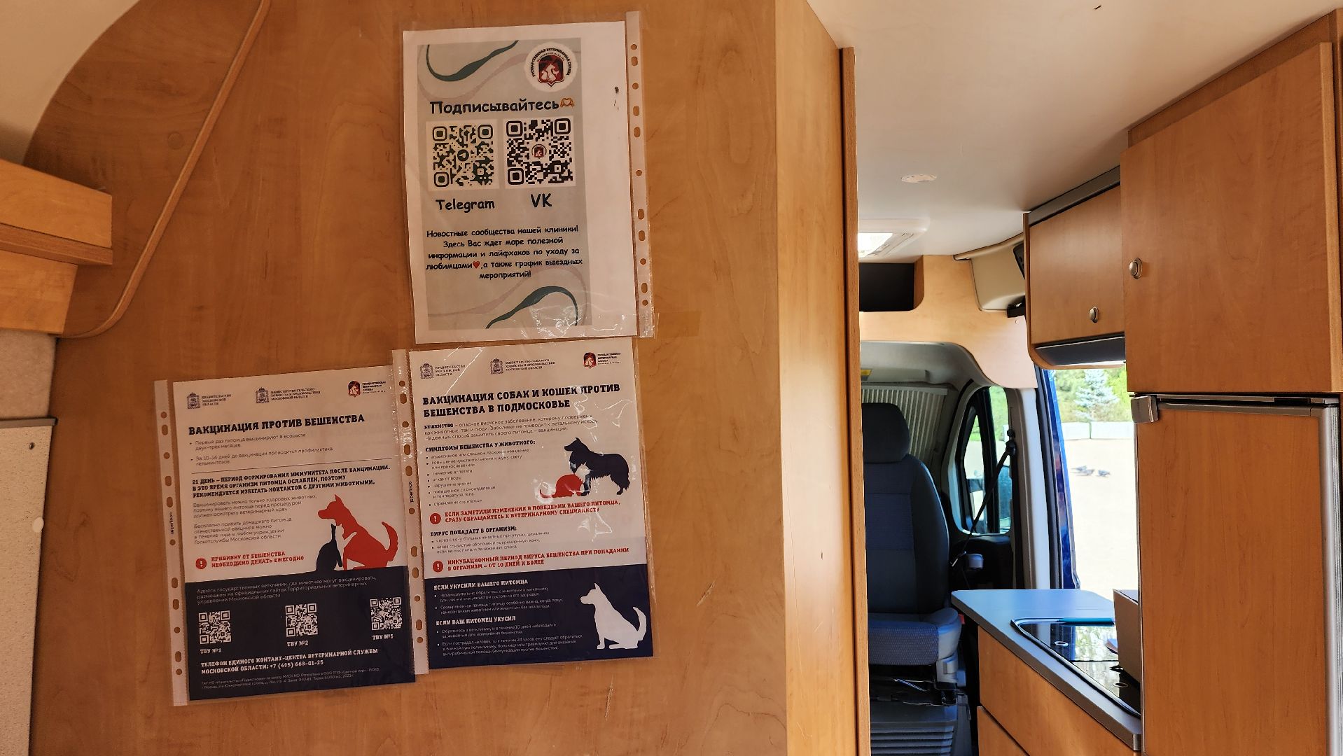 выездное чипирование, выездная вакцинация,  чипирование домашних животных, Ногинск, Богородский городской округ,