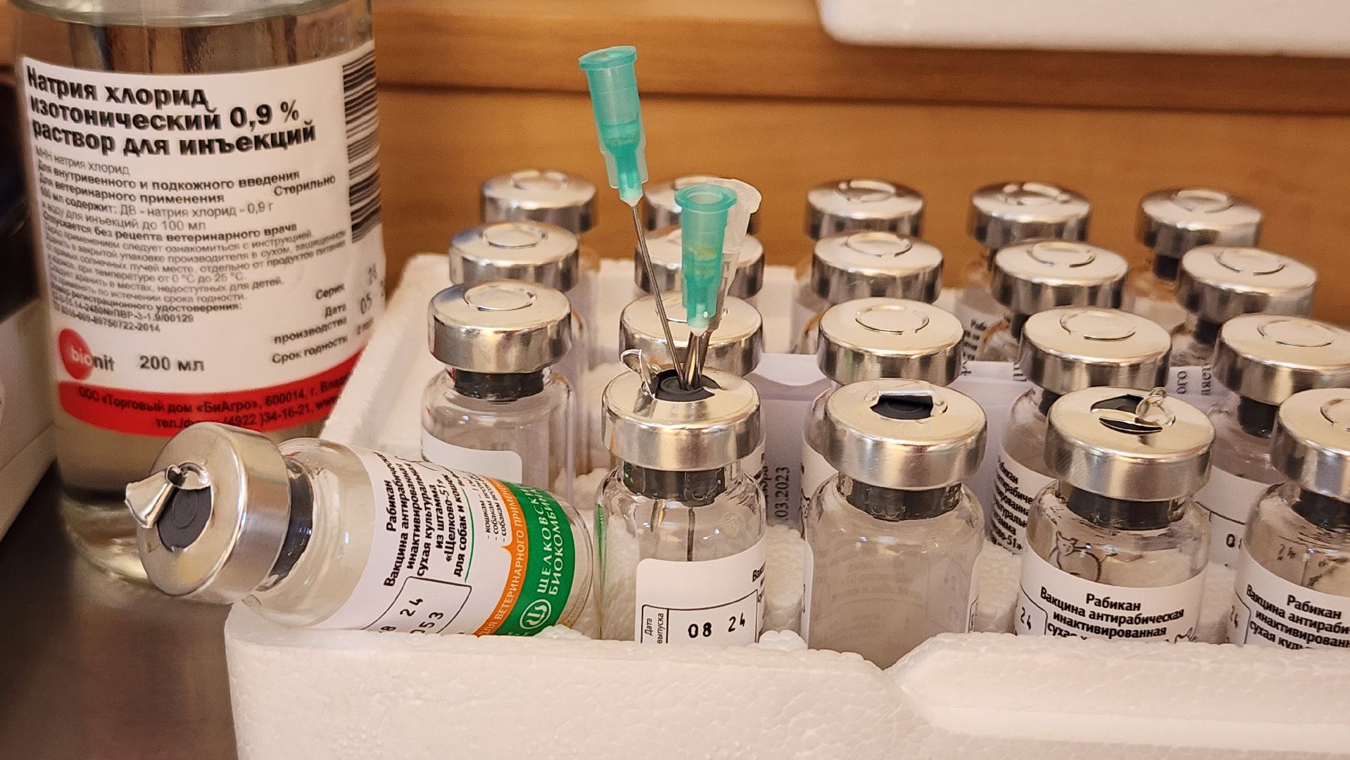 выездное чипирование, выездная вакцинация,  чипирование домашних животных, Ногинск, Богородский городской округ,