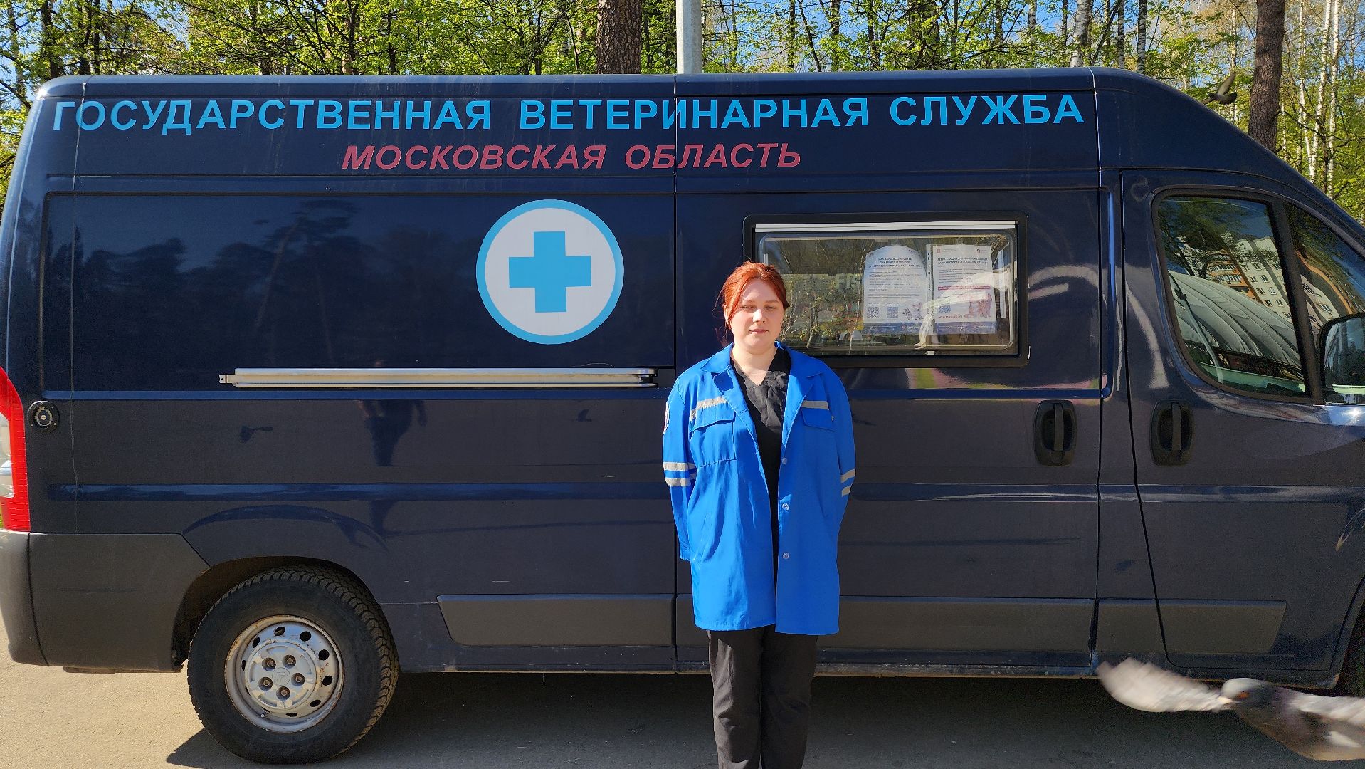 выездное чипирование, выездная вакцинация,  чипирование домашних животных, Ногинск, Богородский городской округ,