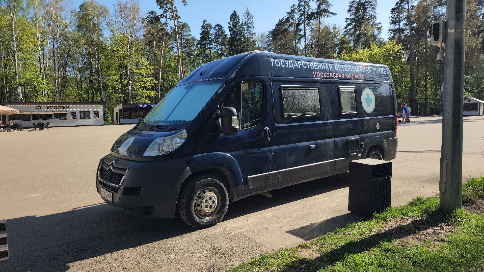 выездное чипирование, выездная вакцинация,  чипирование домашних животных, Ногинск, Богородский городской округ,