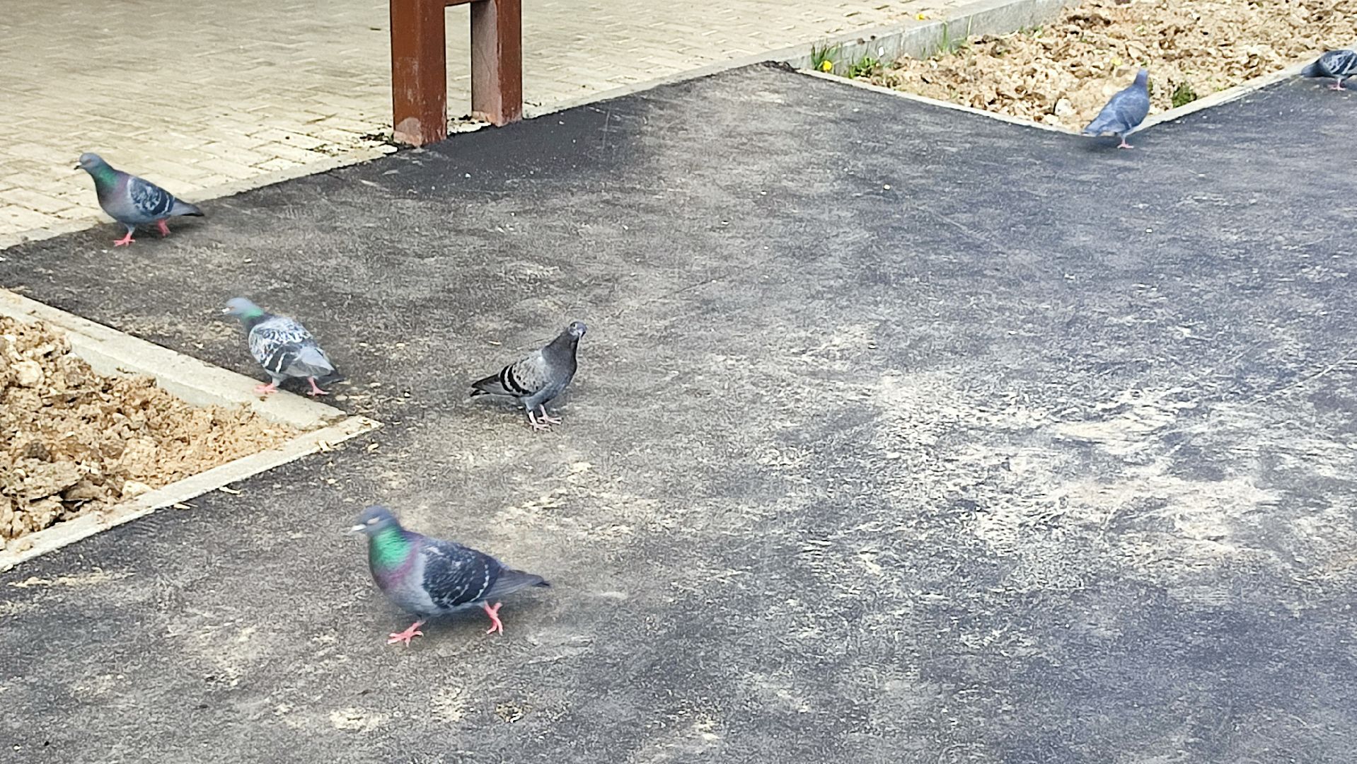 Кашира, вокзал, площадь, железная дорога, асфальт