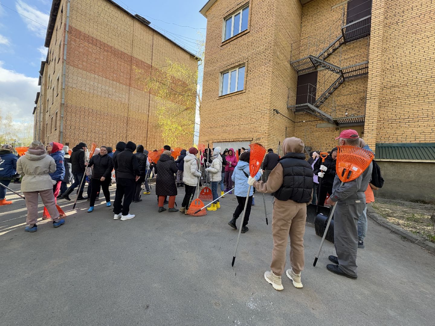 шаховская, субботник, всероссийский субботник,