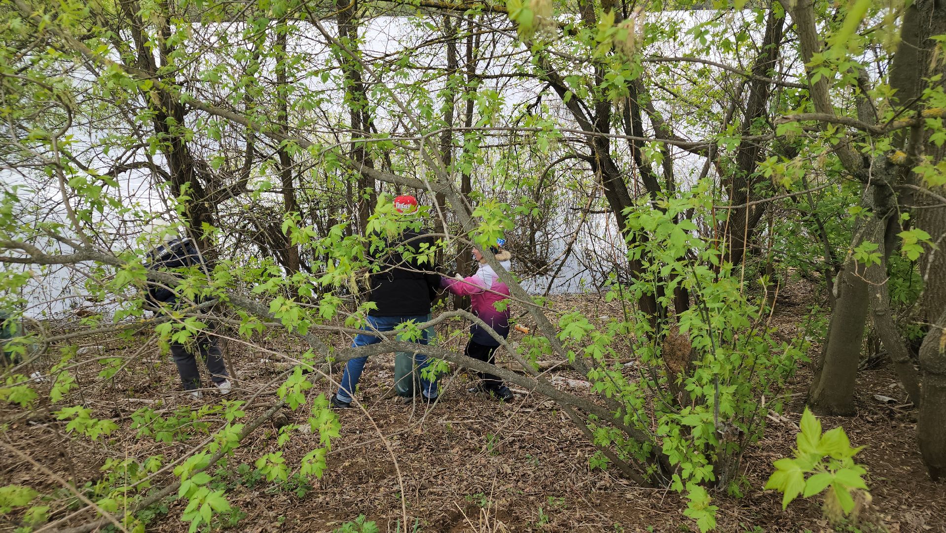субботник, орехово зуево,
