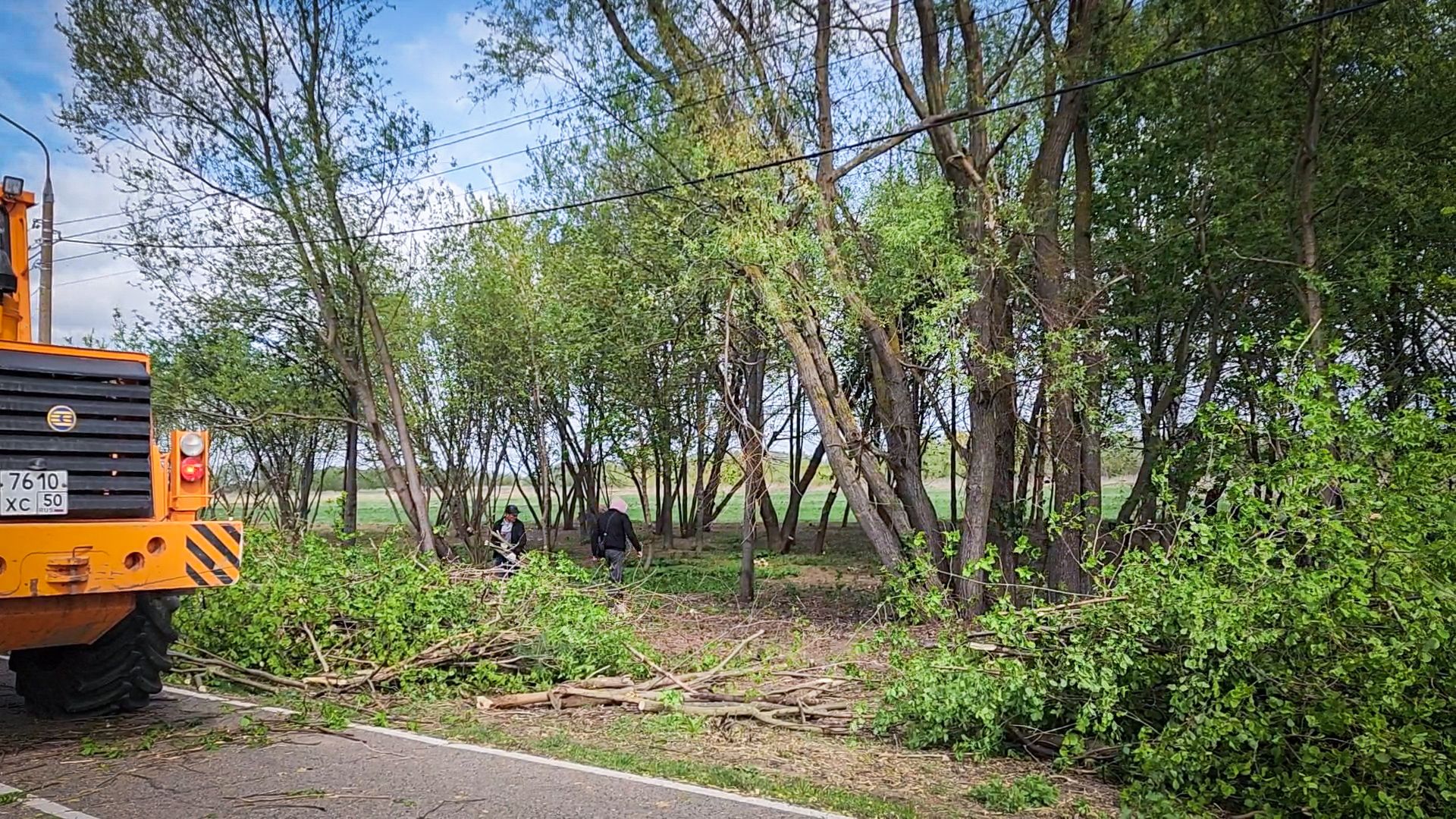 бронницы, субботник, всероссийский субботник в бронницах,