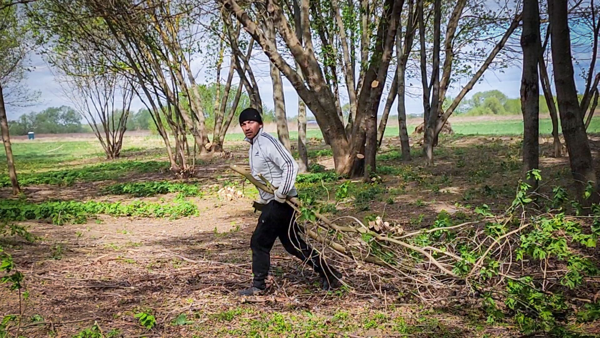 бронницы, субботник, всероссийский субботник в бронницах,