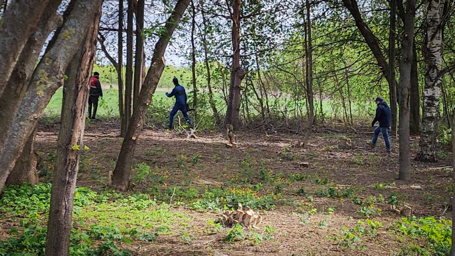 бронницы, субботник, всероссийский субботник в бронницах,