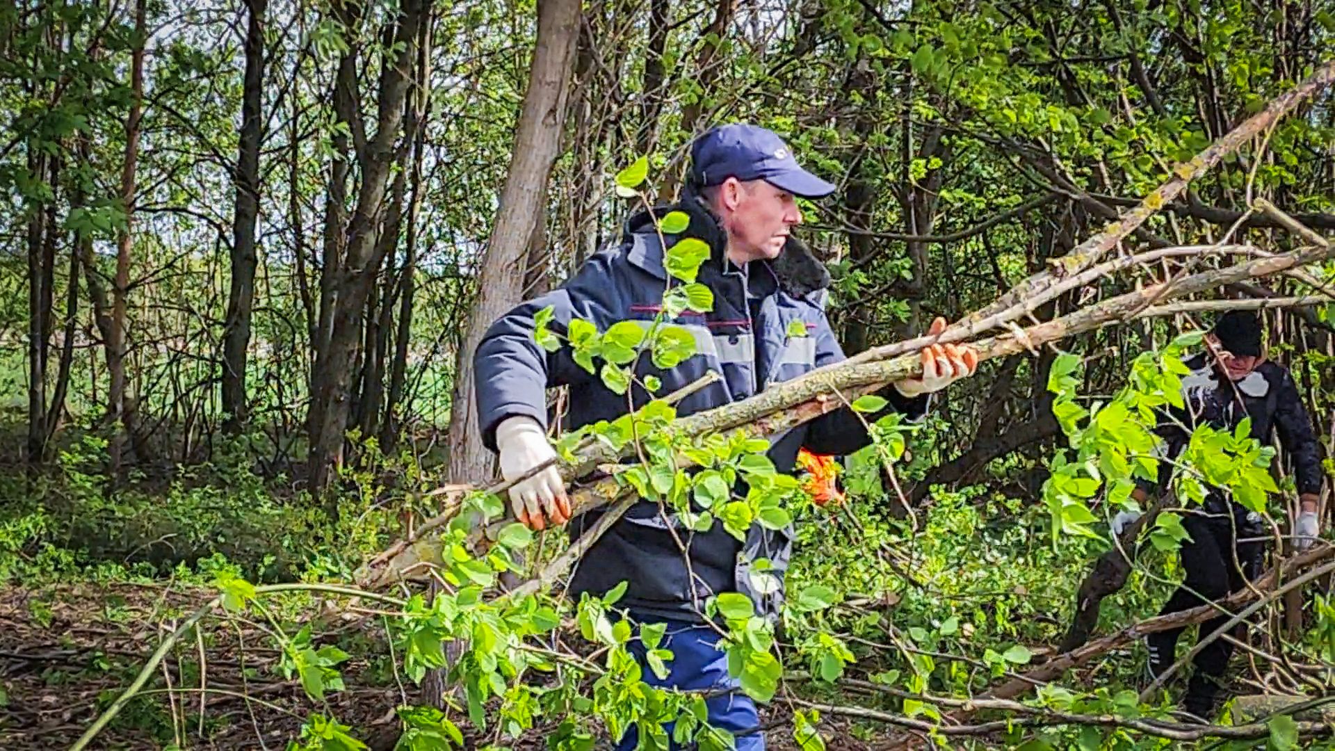 бронницы, субботник, всероссийский субботник в бронницах,