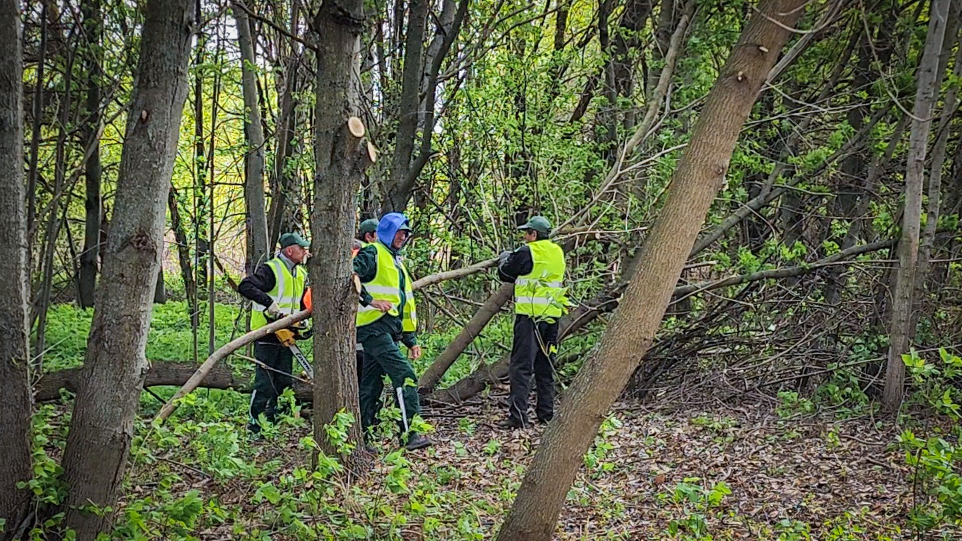 бронницы, субботник, всероссийский субботник в бронницах,