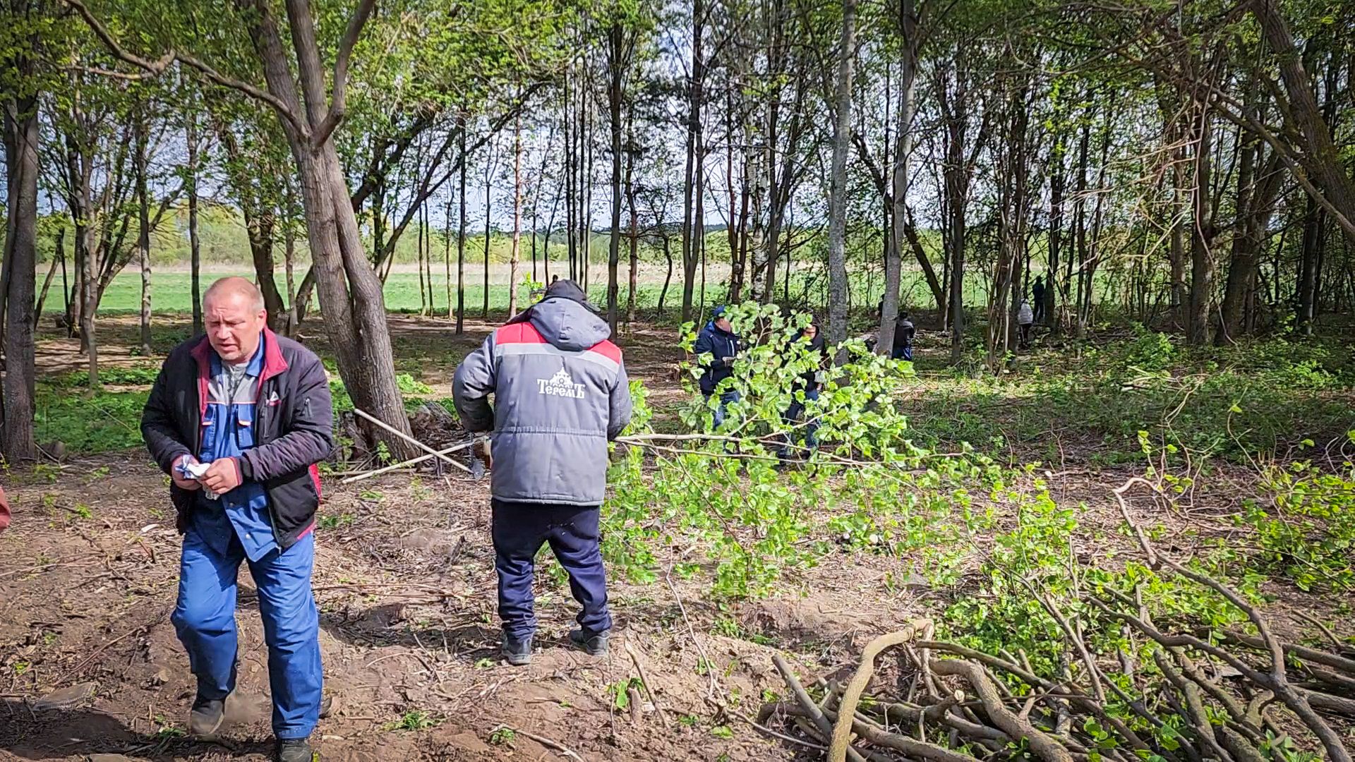 бронницы, субботник, всероссийский субботник в бронницах,