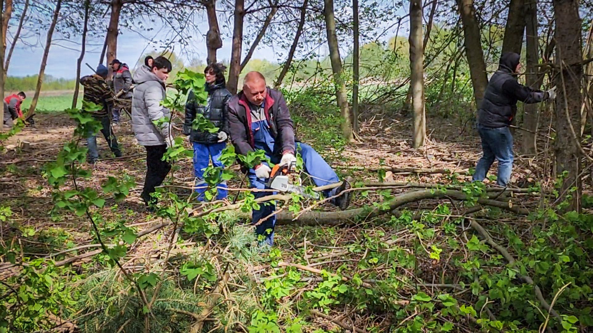 бронницы, субботник, всероссийский субботник в бронницах,