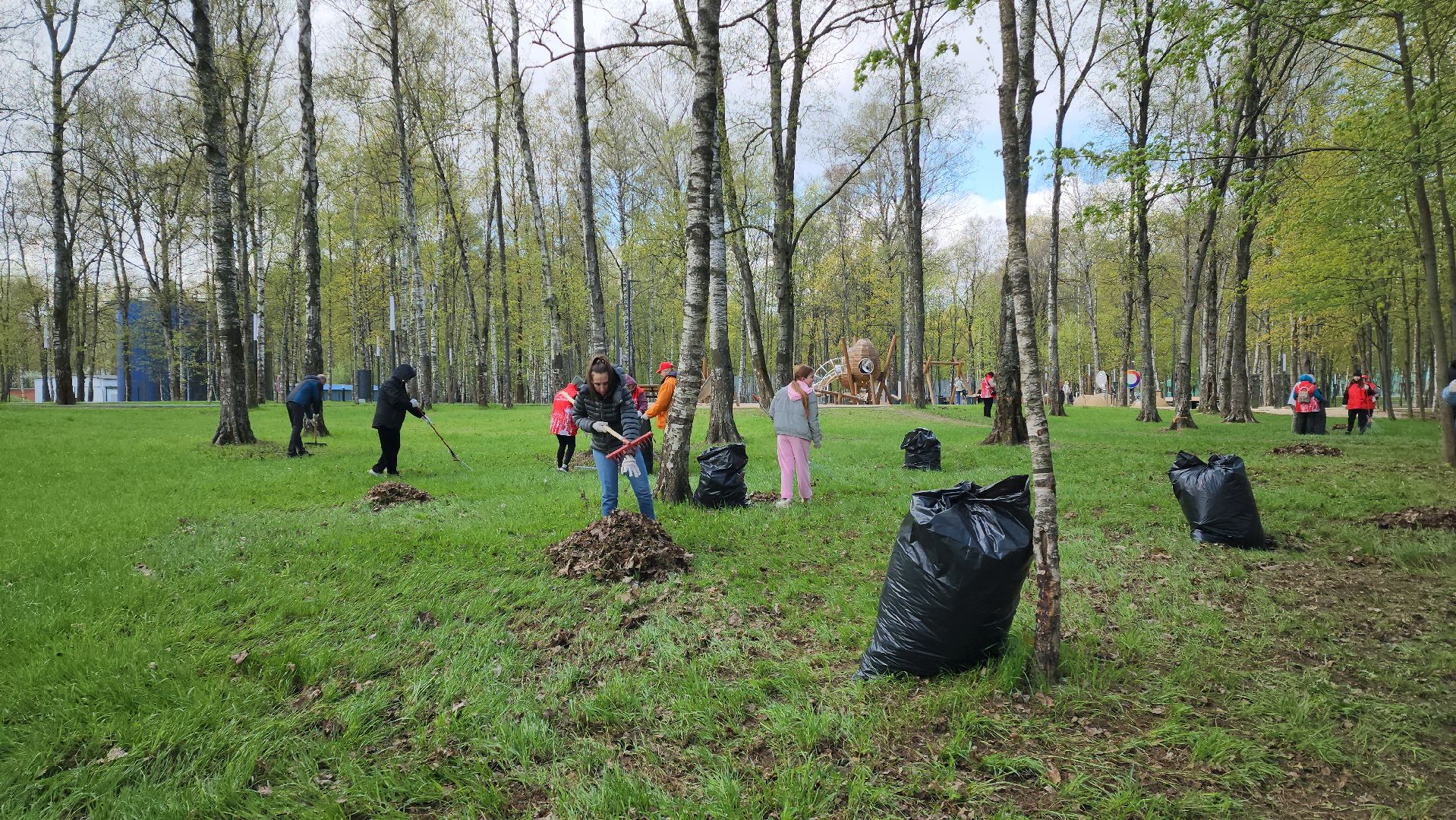 Субботник , Лобня, Центральный парк ,