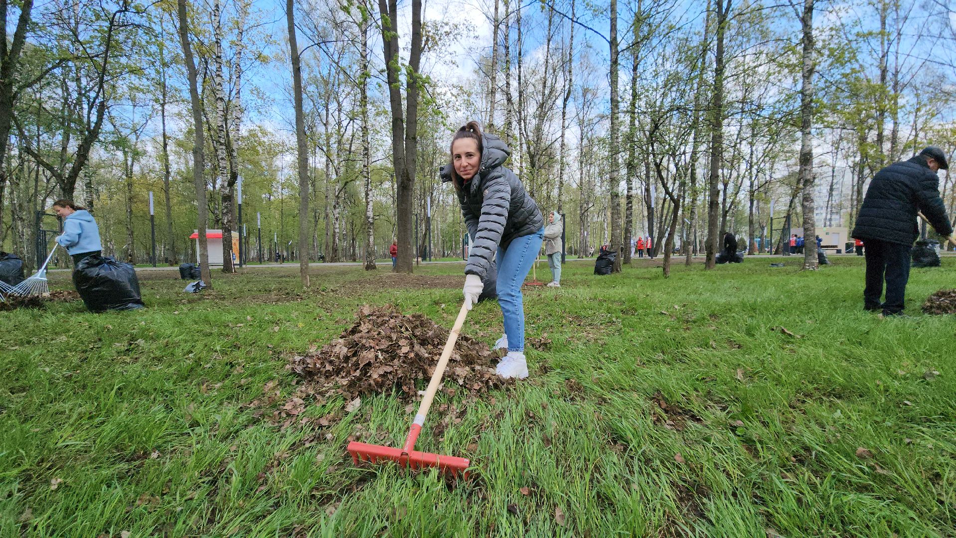 Субботник , Лобня, Центральный парк ,