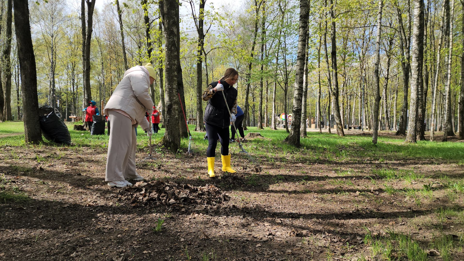 Субботник , Лобня, Центральный парк ,