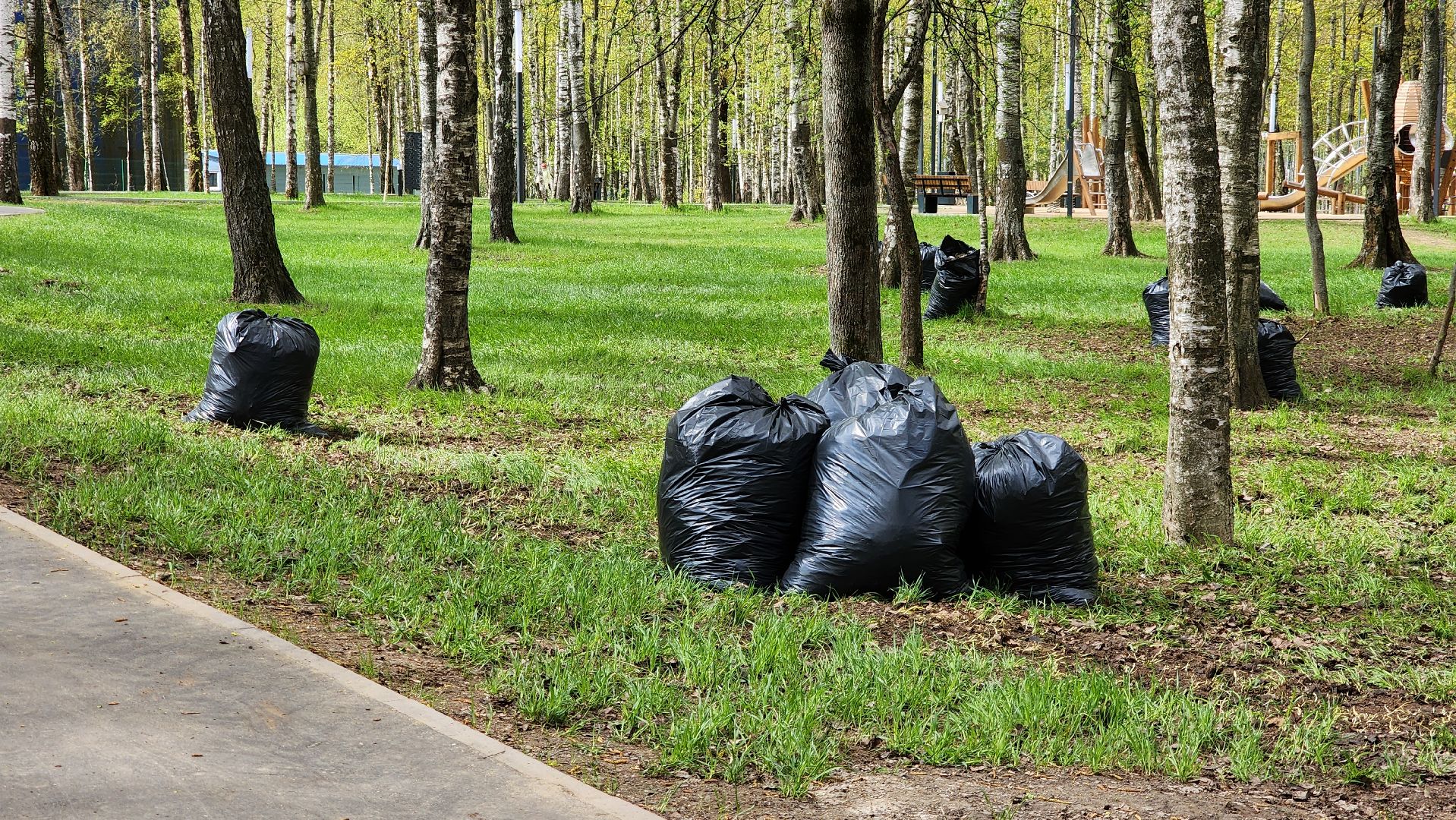 Субботник , Лобня, Центральный парк ,