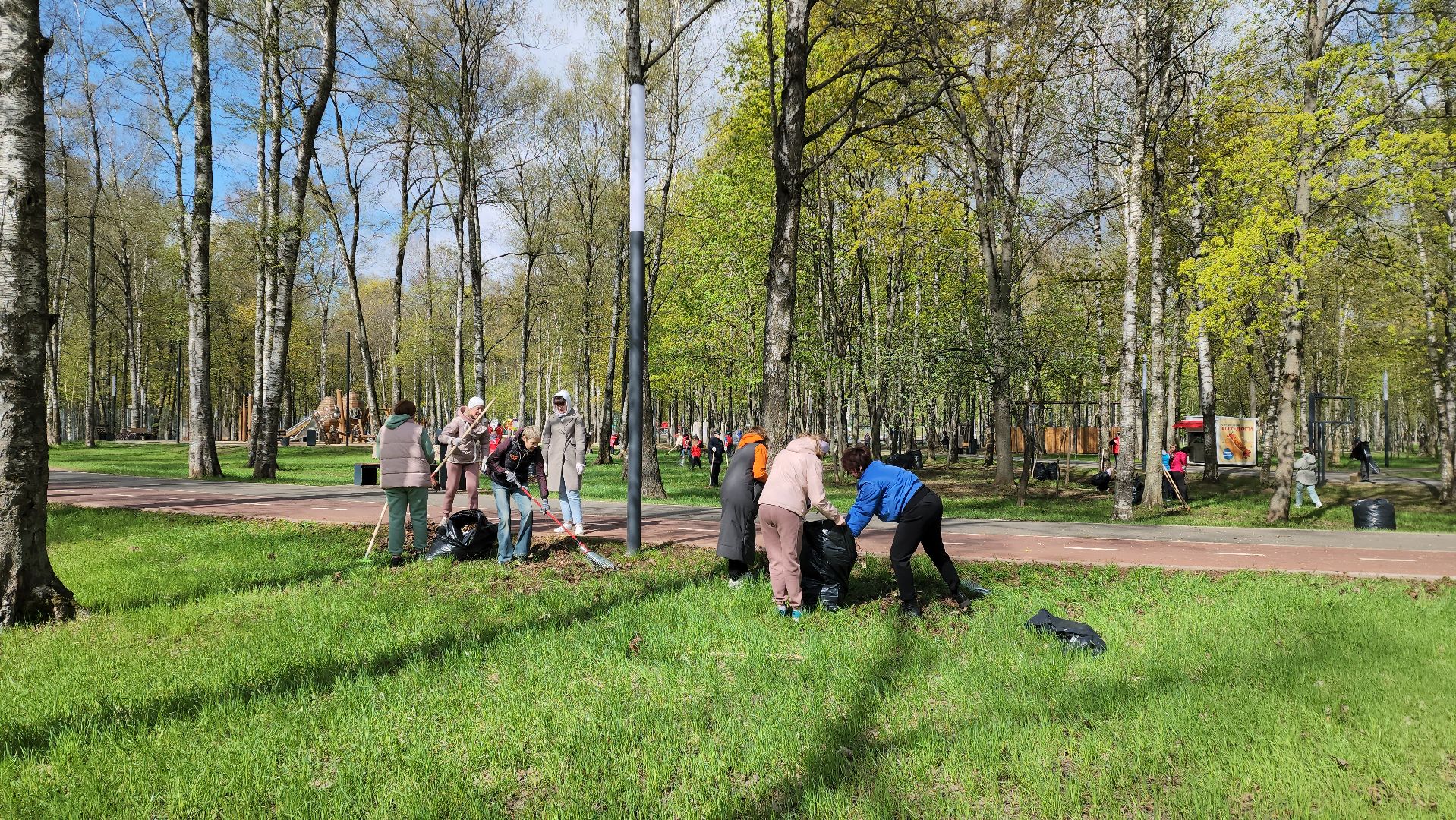 Субботник , Лобня, Центральный парк ,