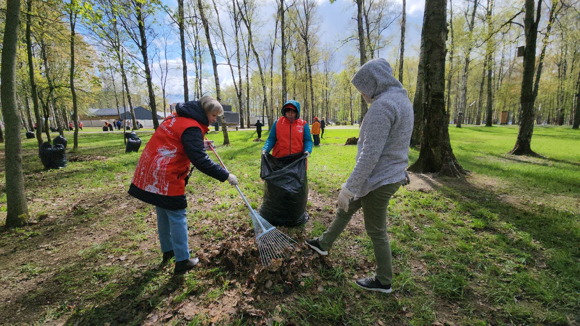 Субботник , Лобня, Центральный парк ,