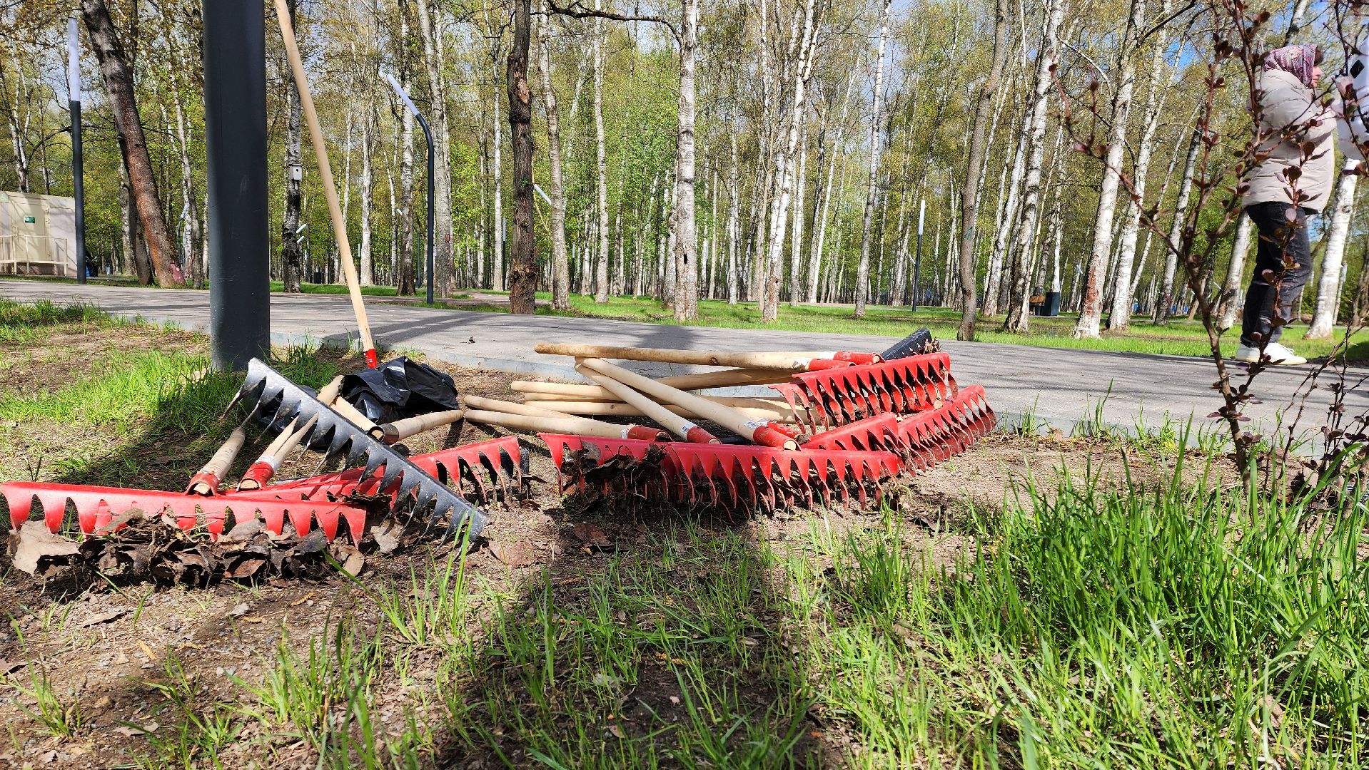 Субботник , Лобня, Центральный парк ,