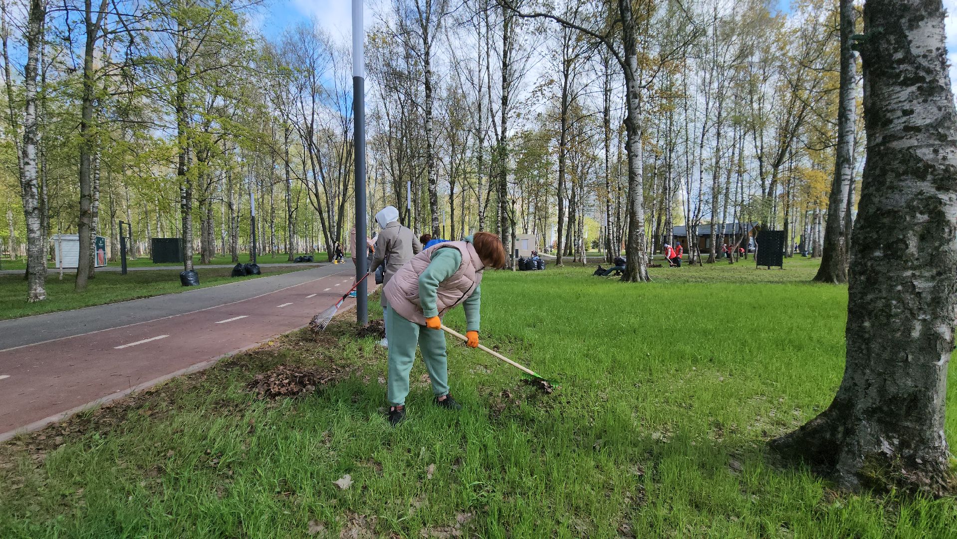 Субботник , Лобня, Центральный парк ,