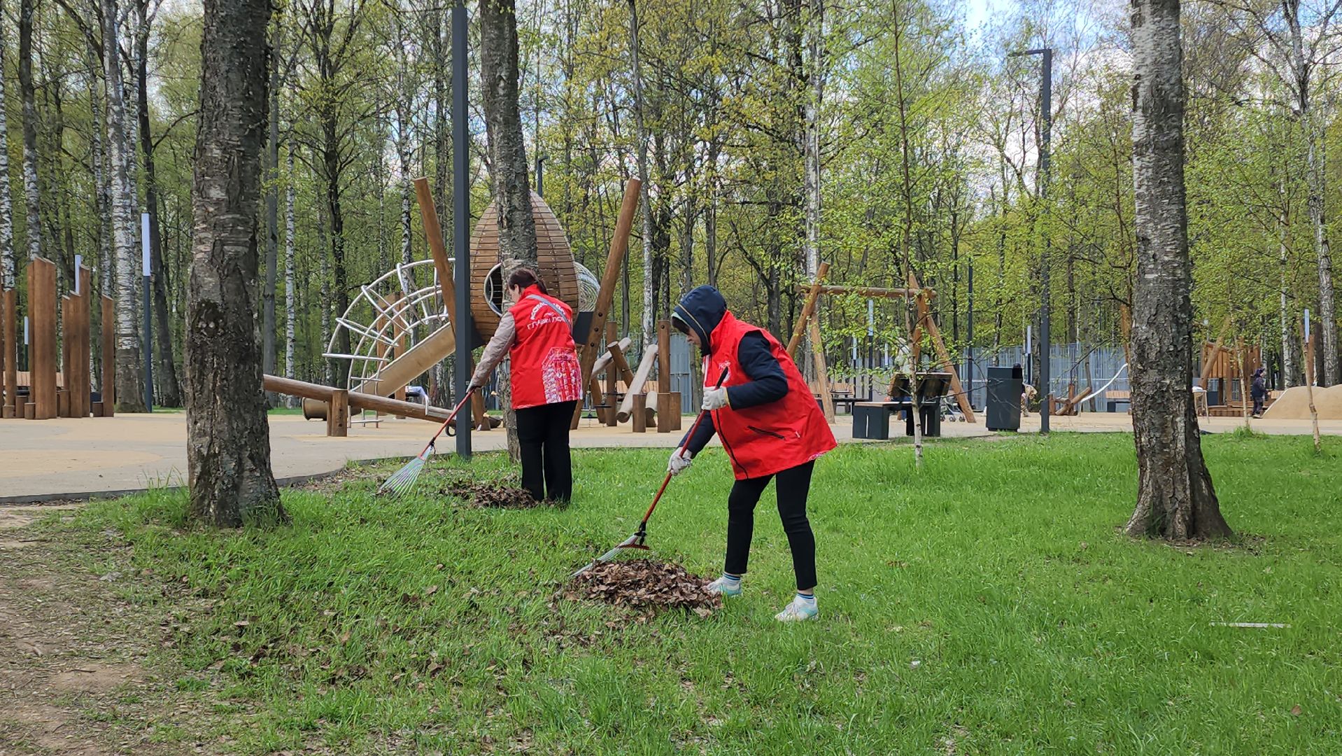 Субботник , Лобня, Центральный парк ,