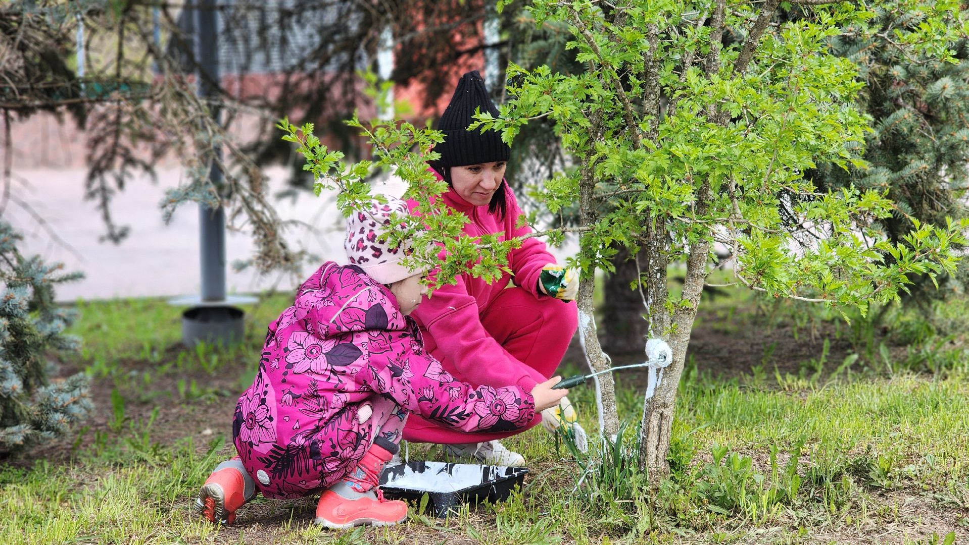 волоколамск, всероссийский субботник,