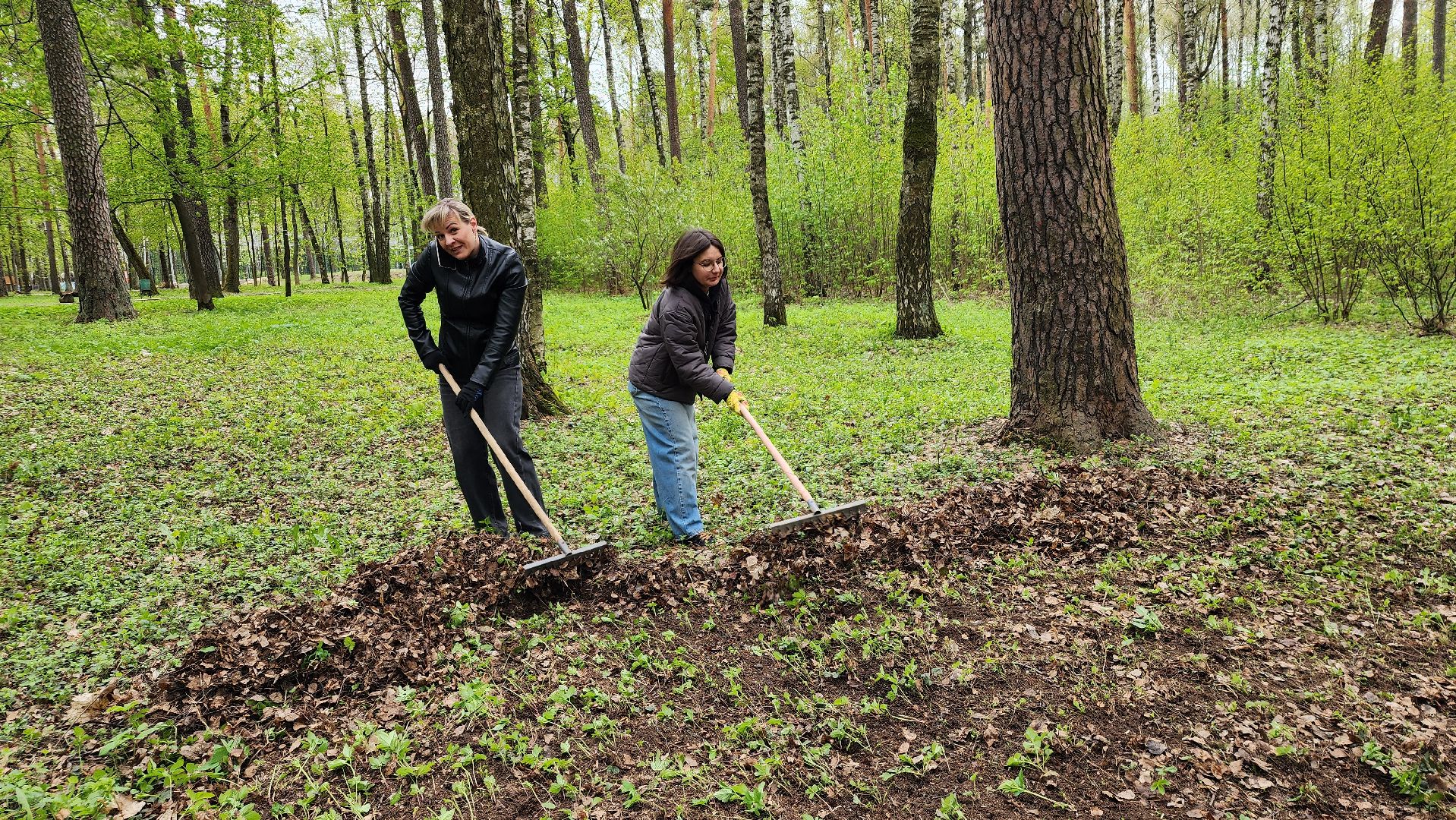 общеобластной субботник, уборка, Центральный парк,Ногинск, Богородский городской округ,