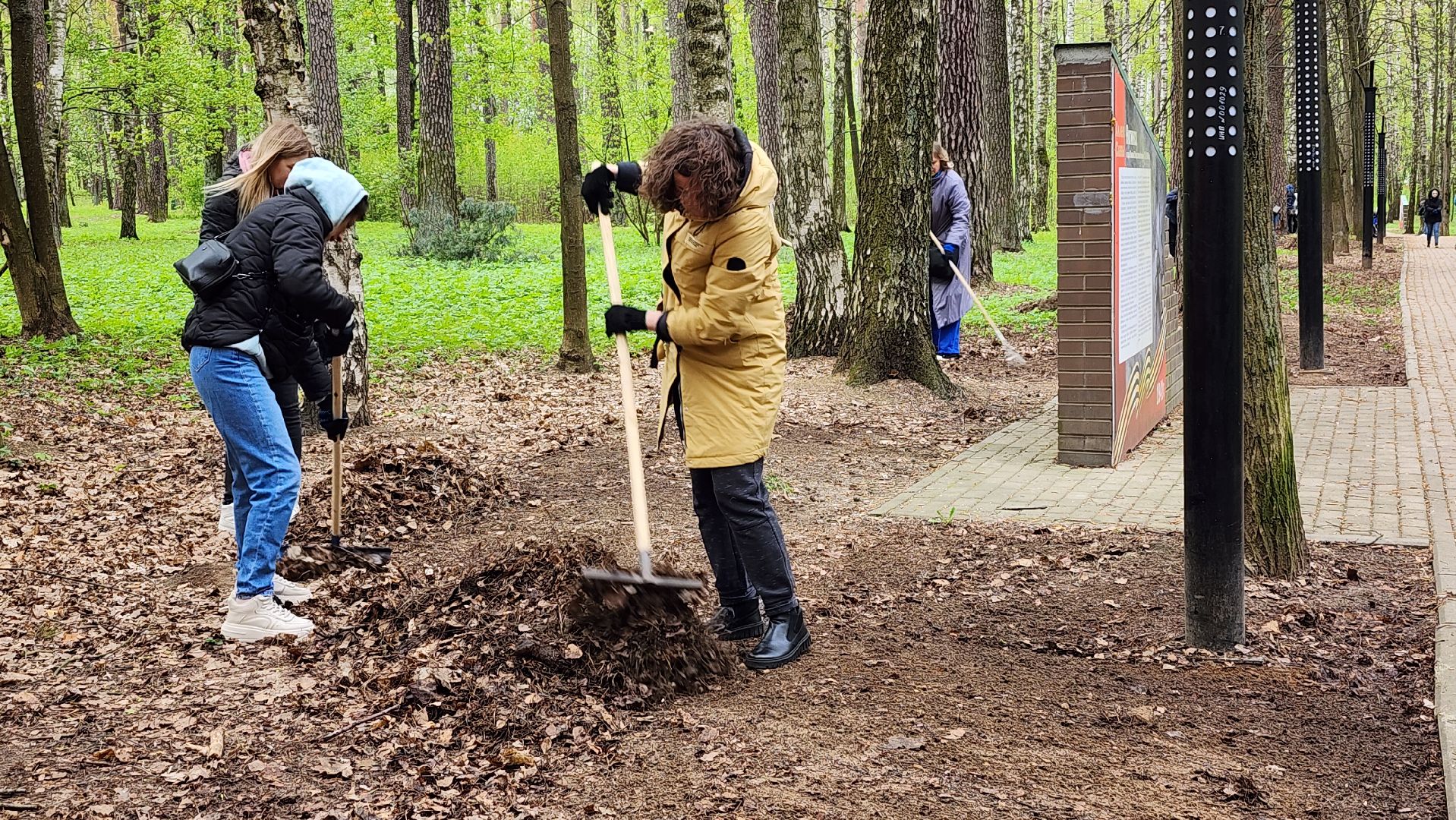 общеобластной субботник, уборка, Центральный парк,Ногинск, Богородский городской округ,