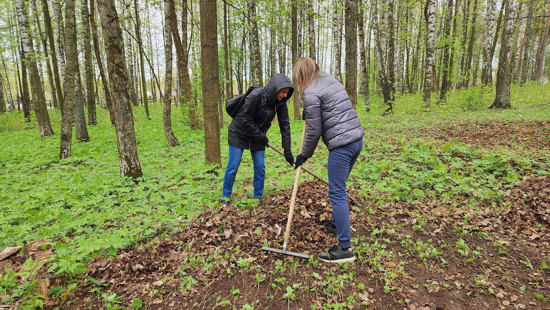 общеобластной субботник, уборка, Центральный парк,Ногинск, Богородский городской округ,