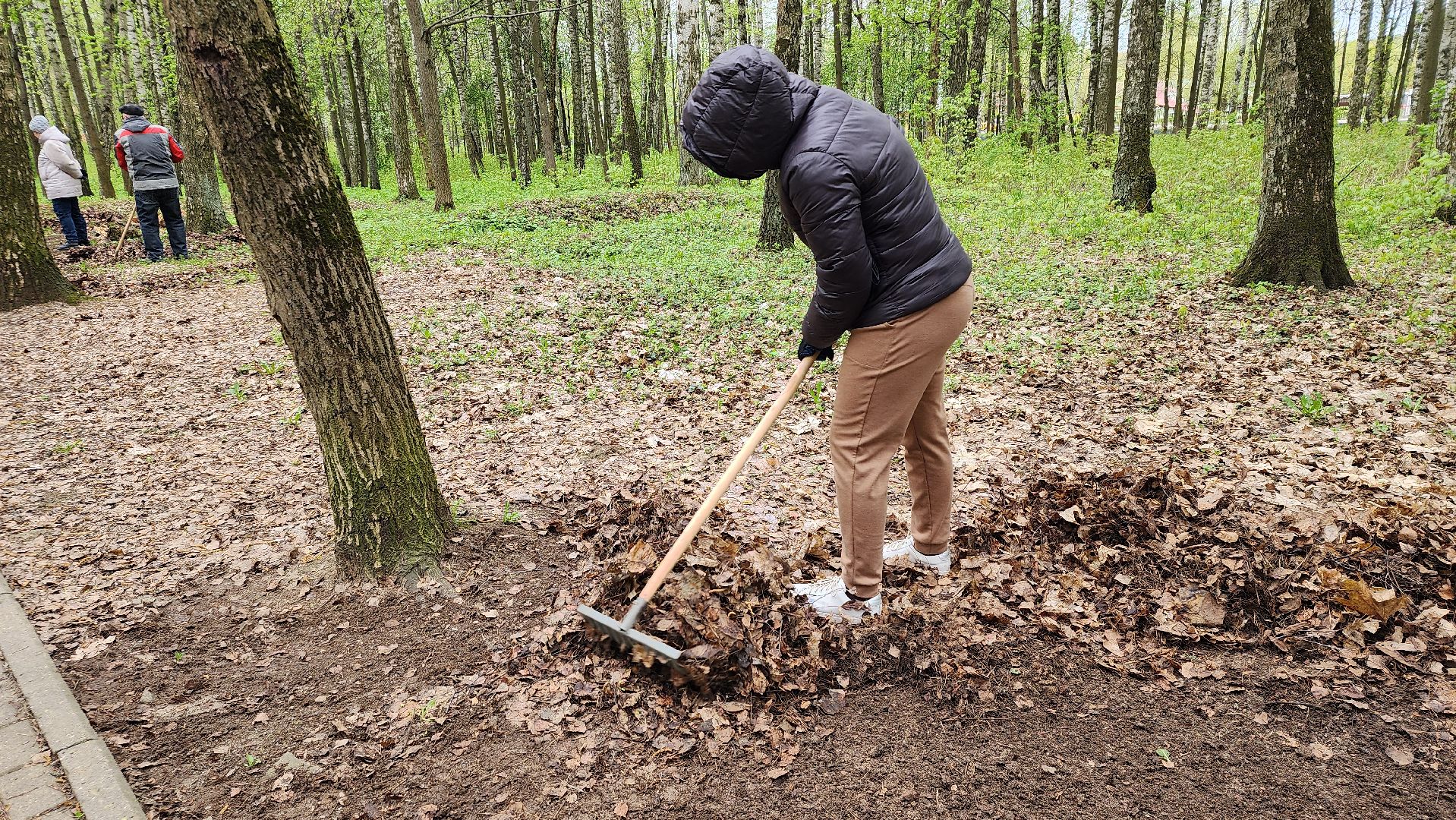 общеобластной субботник, уборка, Центральный парк,Ногинск, Богородский городской округ,