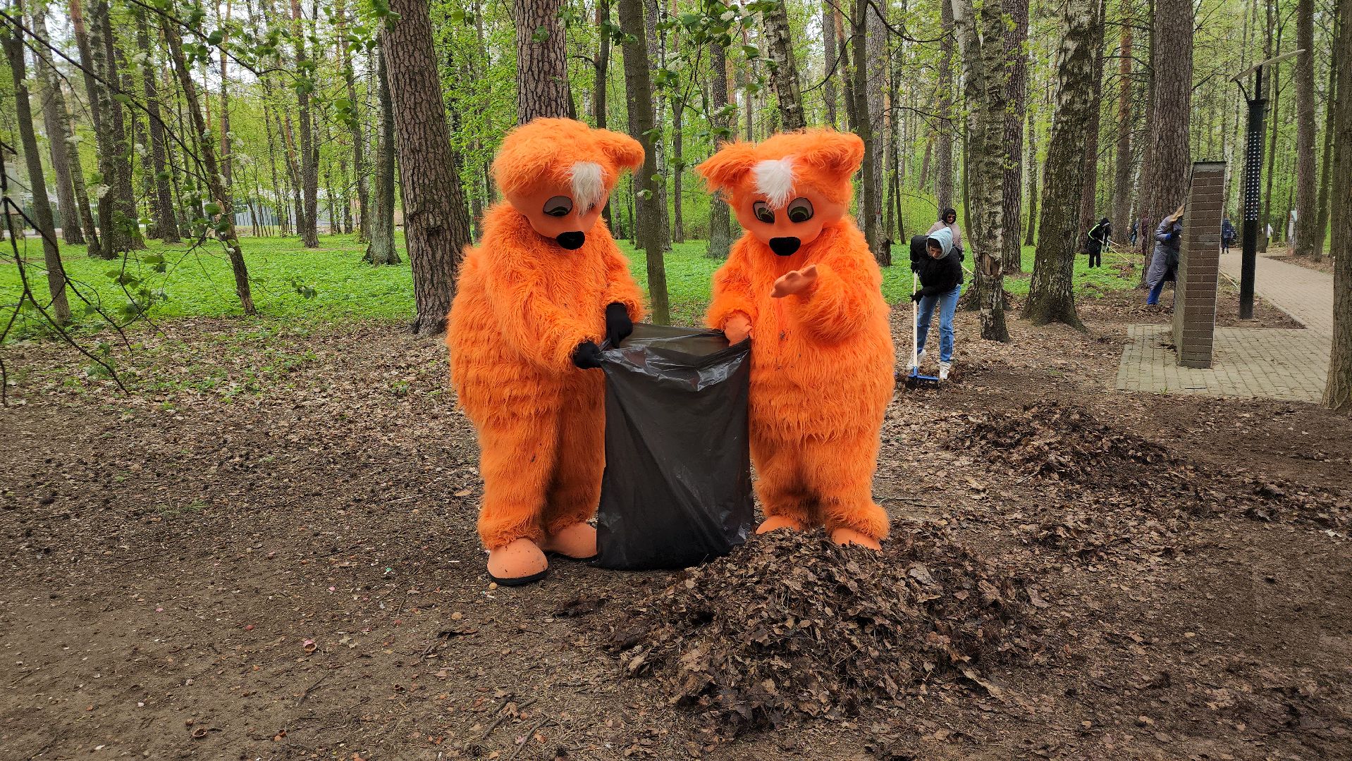 общеобластной субботник, уборка, Центральный парк,Ногинск, Богородский городской округ,