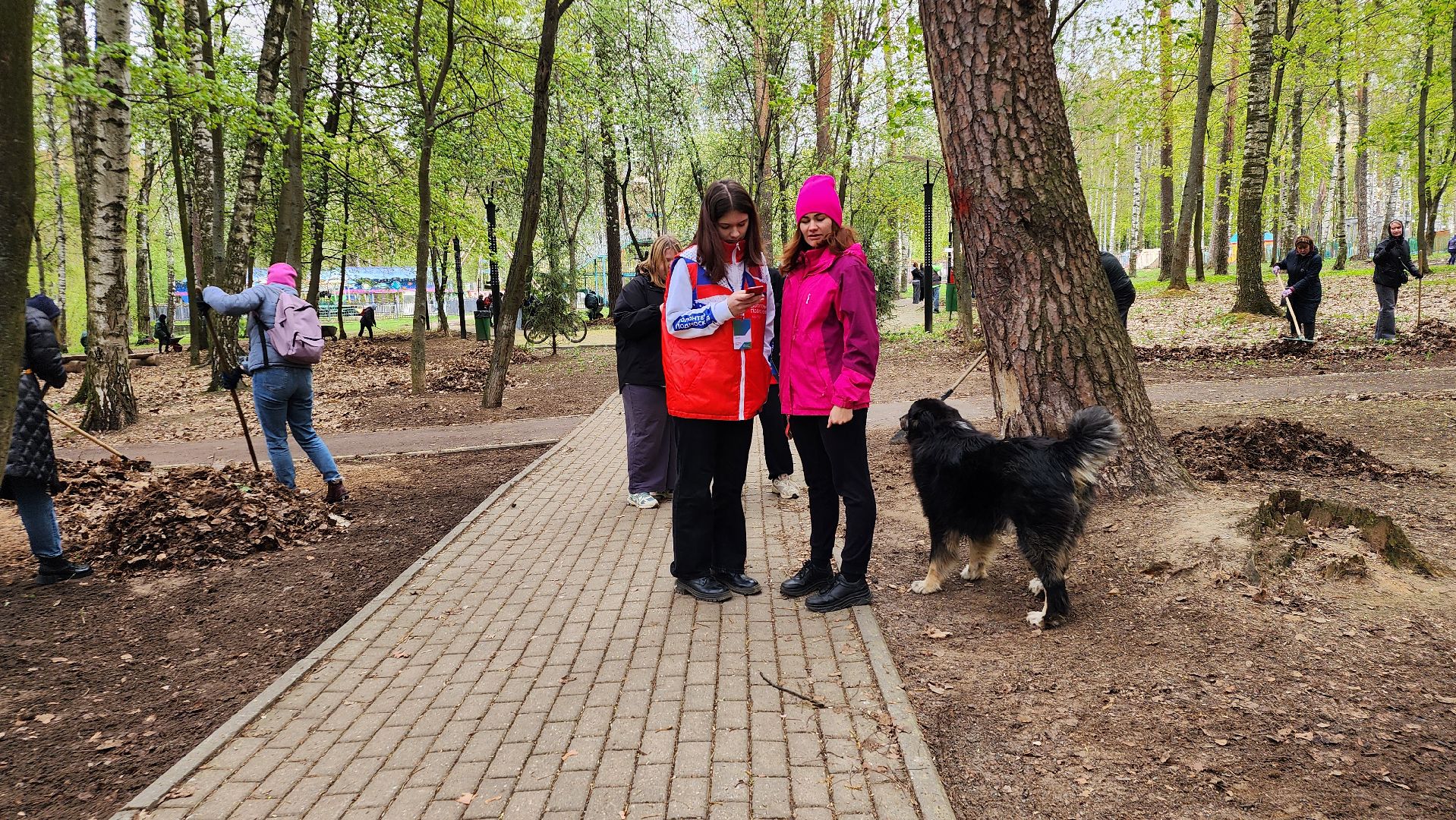 общеобластной субботник, уборка, Центральный парк,Ногинск, Богородский городской округ,