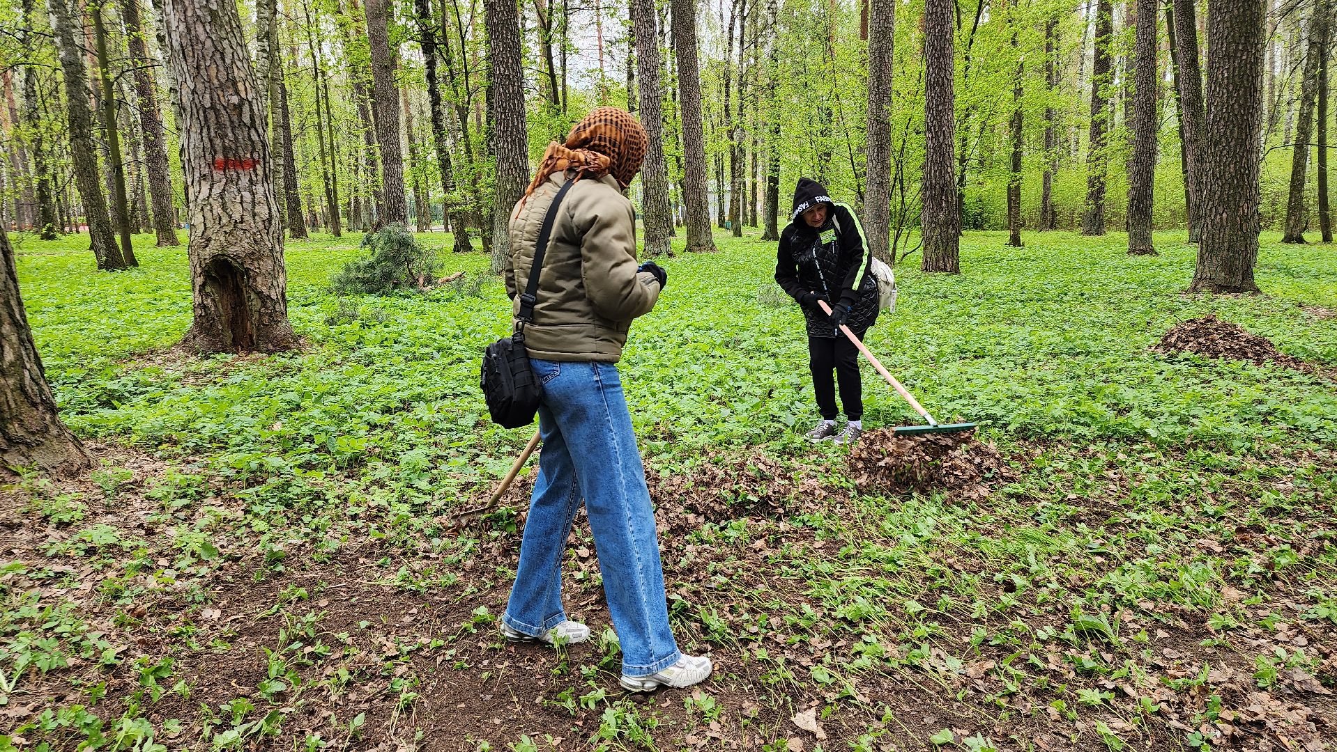 общеобластной субботник, уборка, Центральный парк,Ногинск, Богородский городской округ,