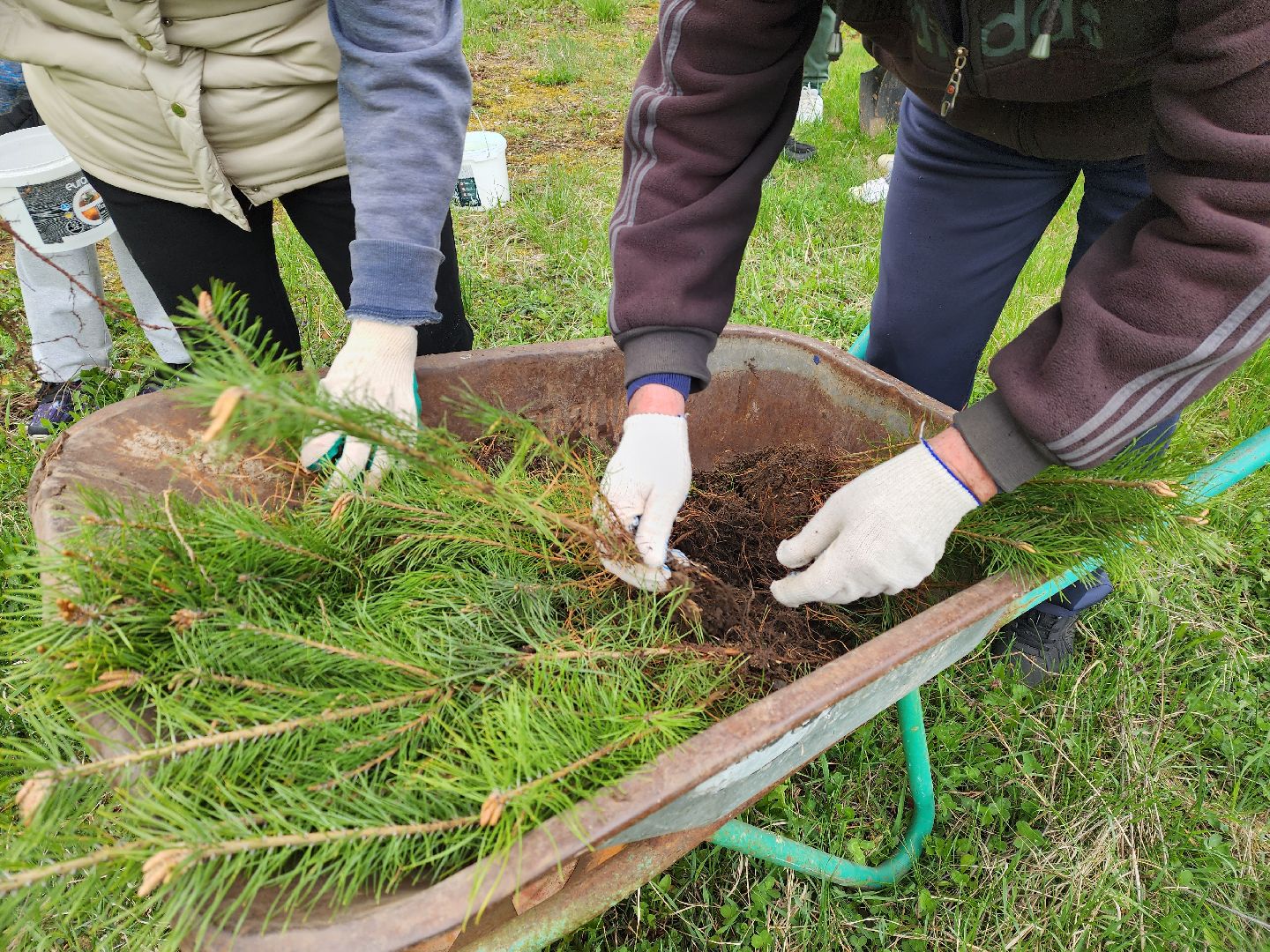 луховицы, луховицкая больница, всероссийский субботник, благоустровйство,